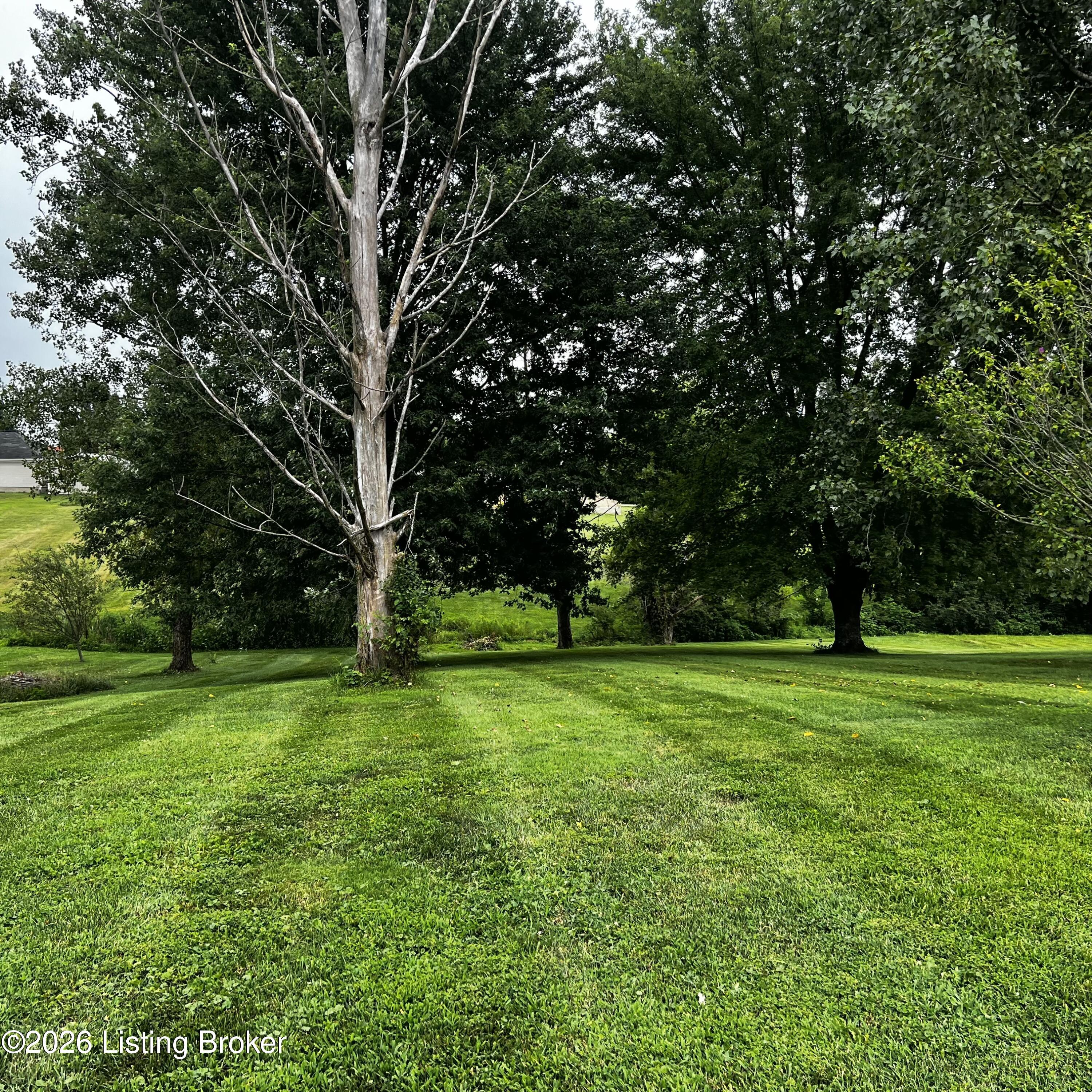 111 Springhill Ln Property Photo 6