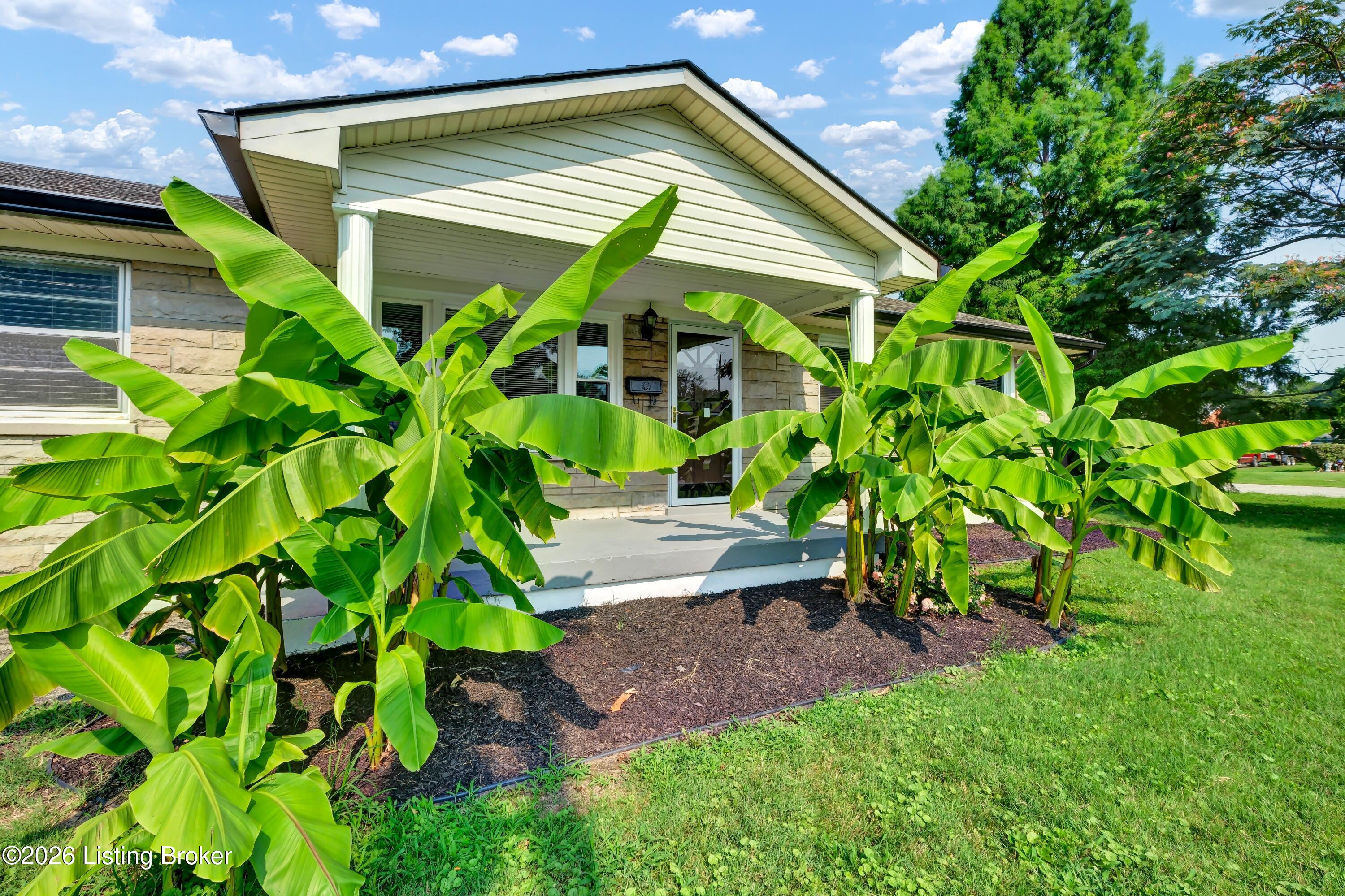 4300 Blue Sky Ct Property Photo 4