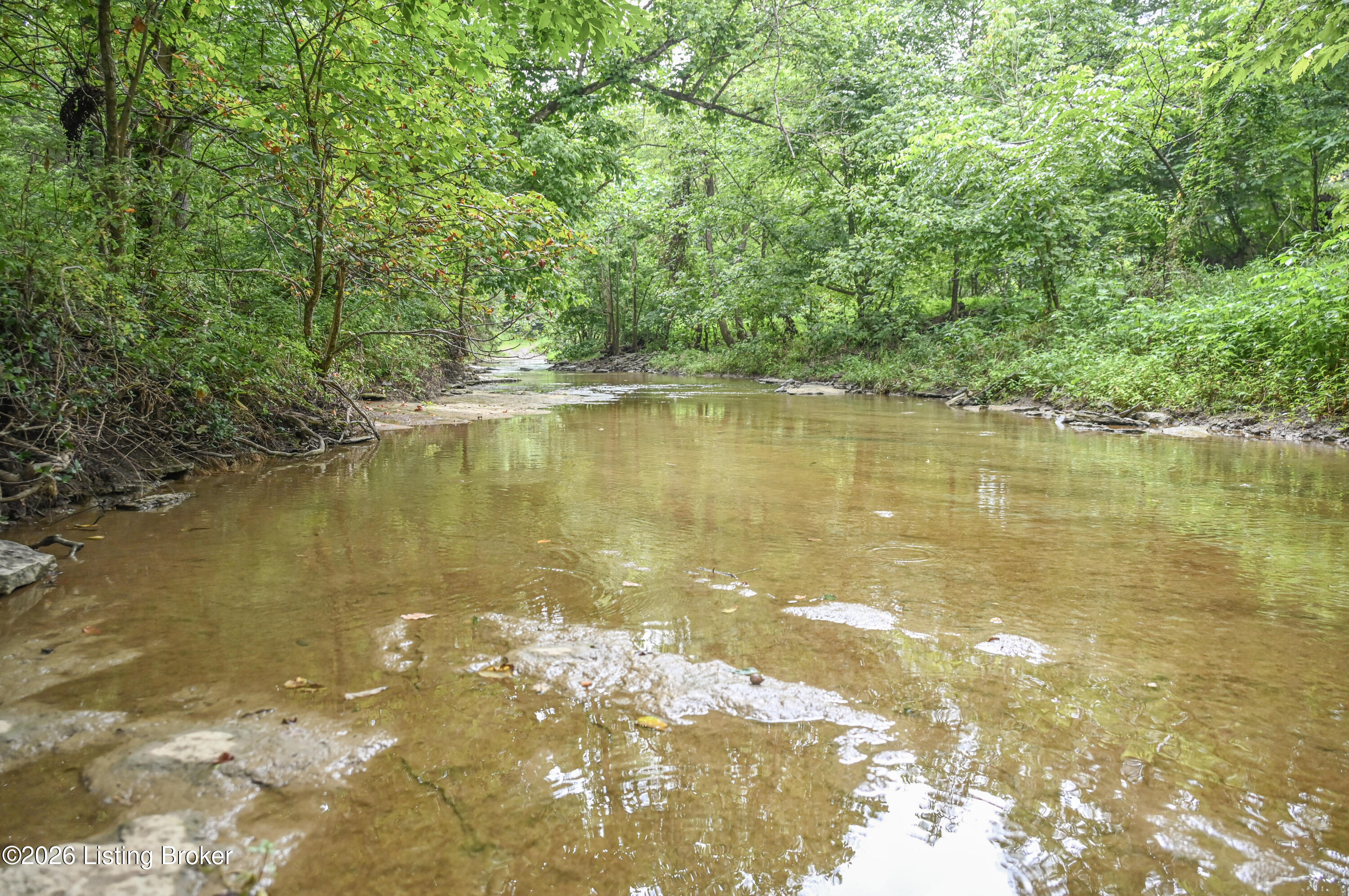 4555 Ky-433 Property Photo 11