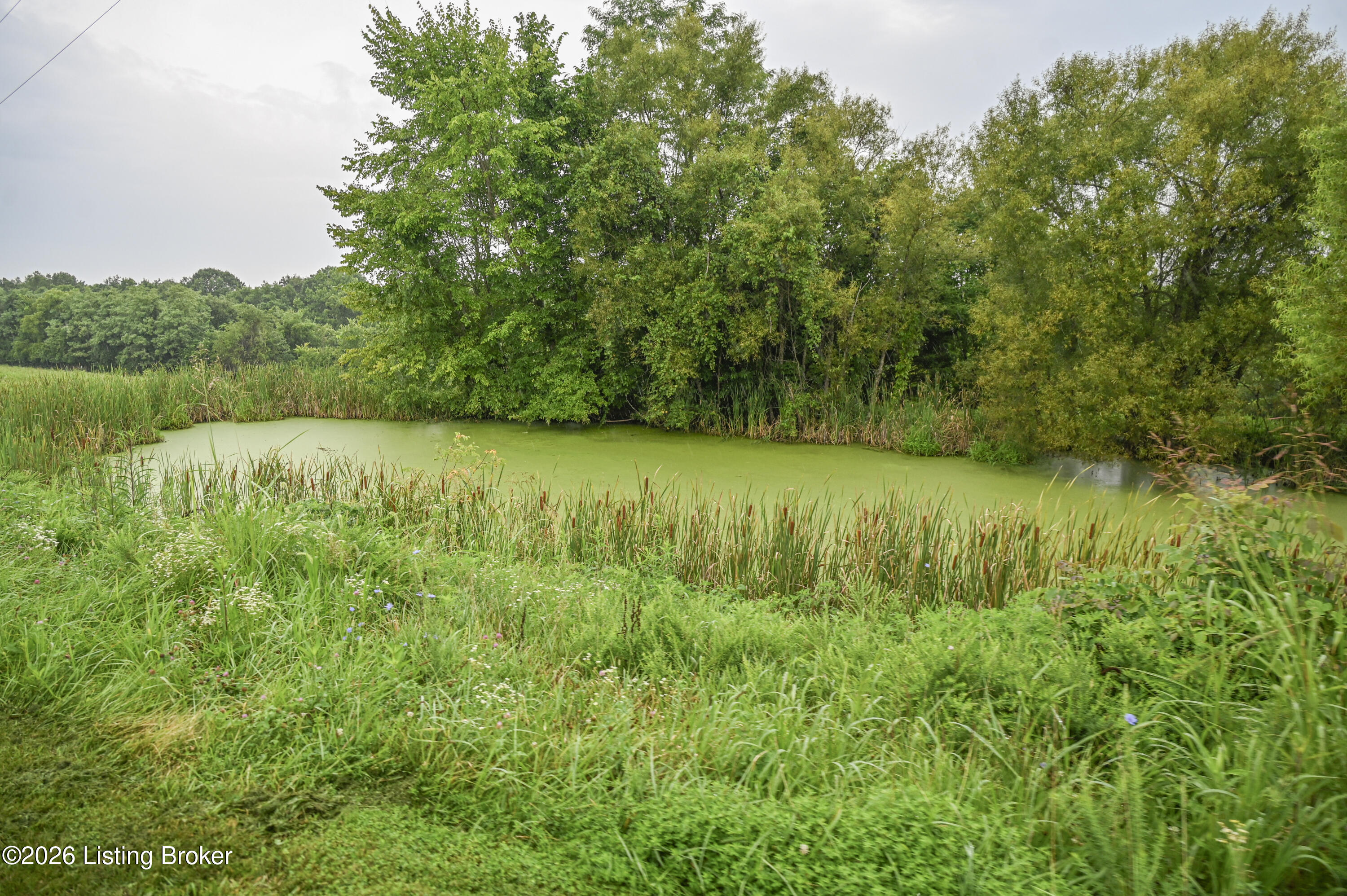 4555 Ky-433 Property Photo 13