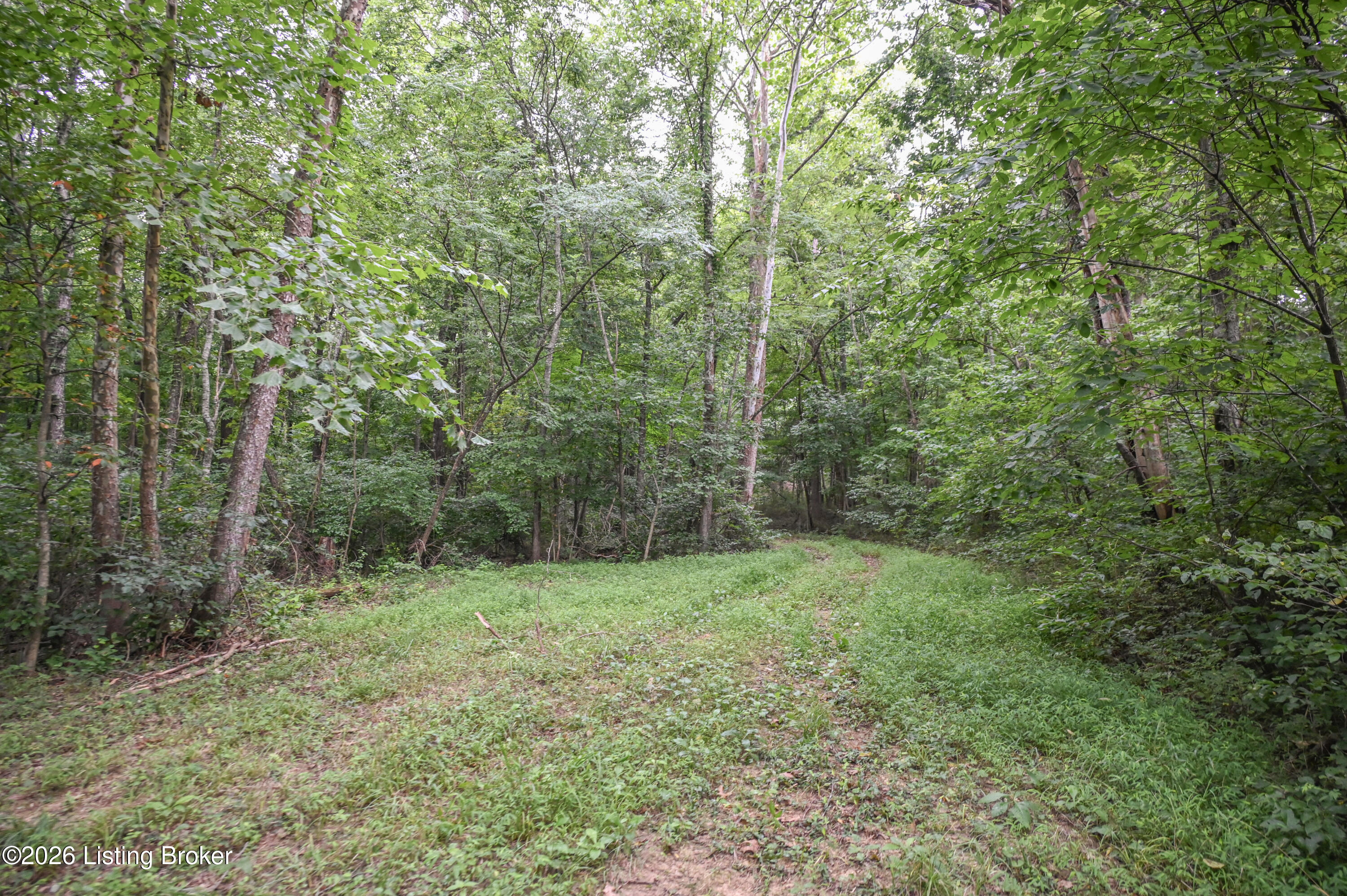 4555 Ky-433 Property Photo 16