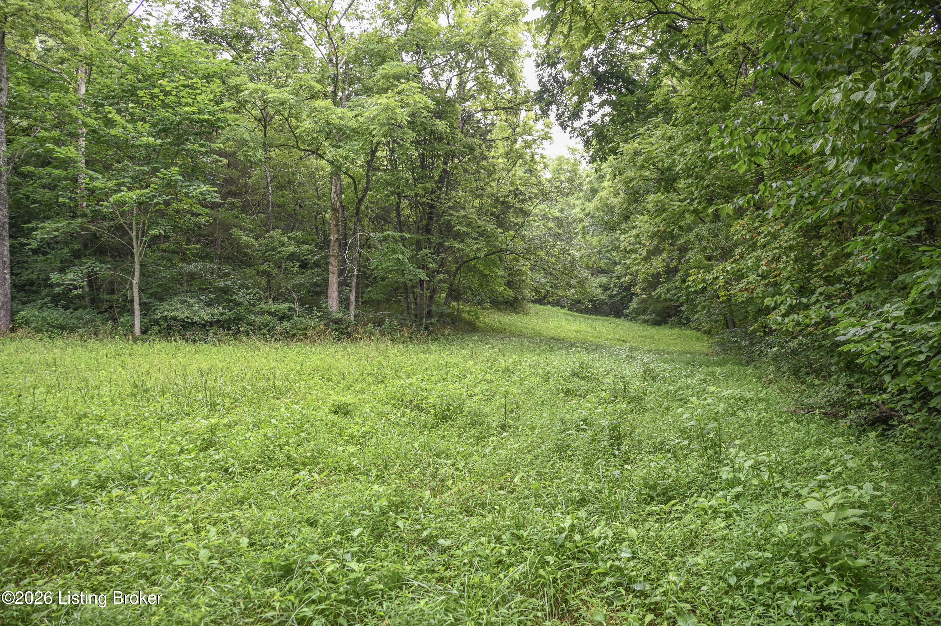 4555 Ky-433 Property Photo 19