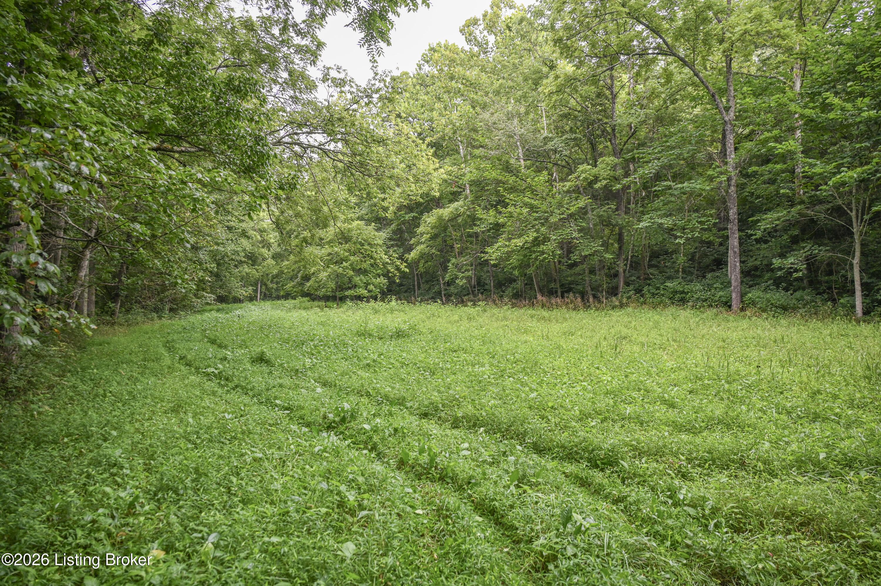 4555 Ky-433 Property Photo 21