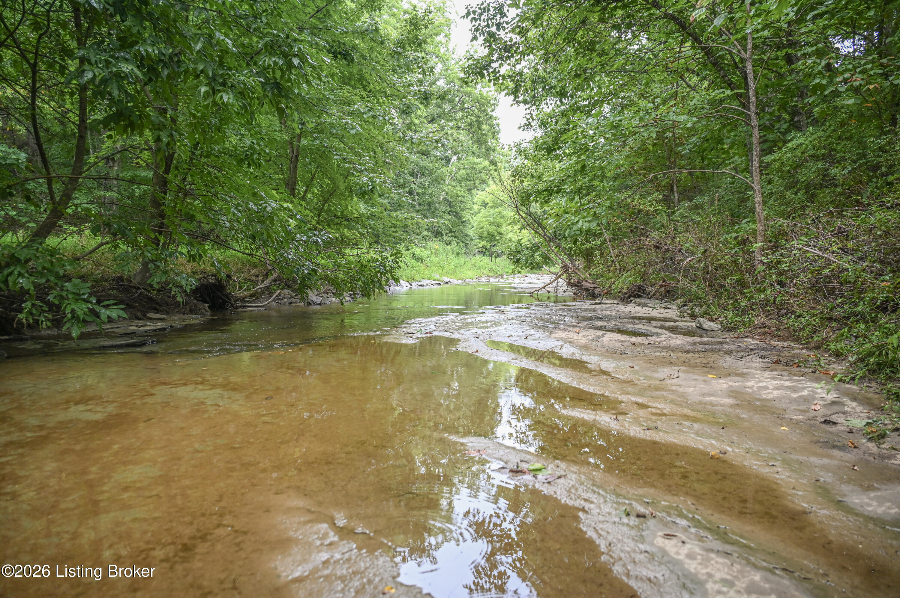4555 Ky-433 Property Photo 24