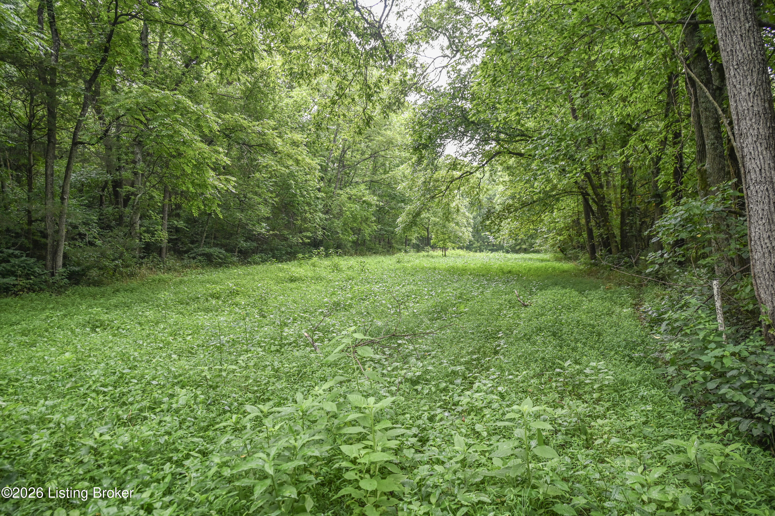 4555 Ky-433 Property Photo 26