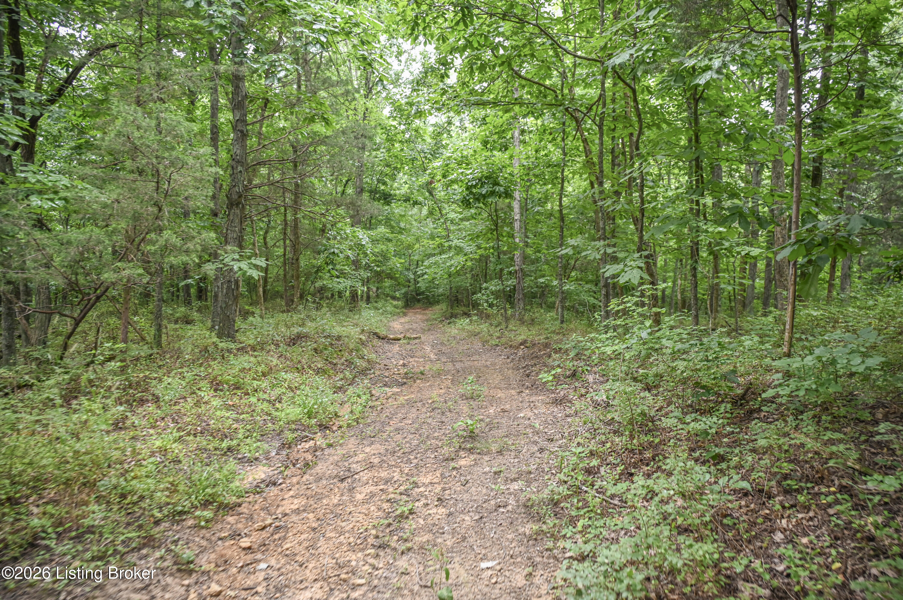 4555 Ky-433 Property Photo 28