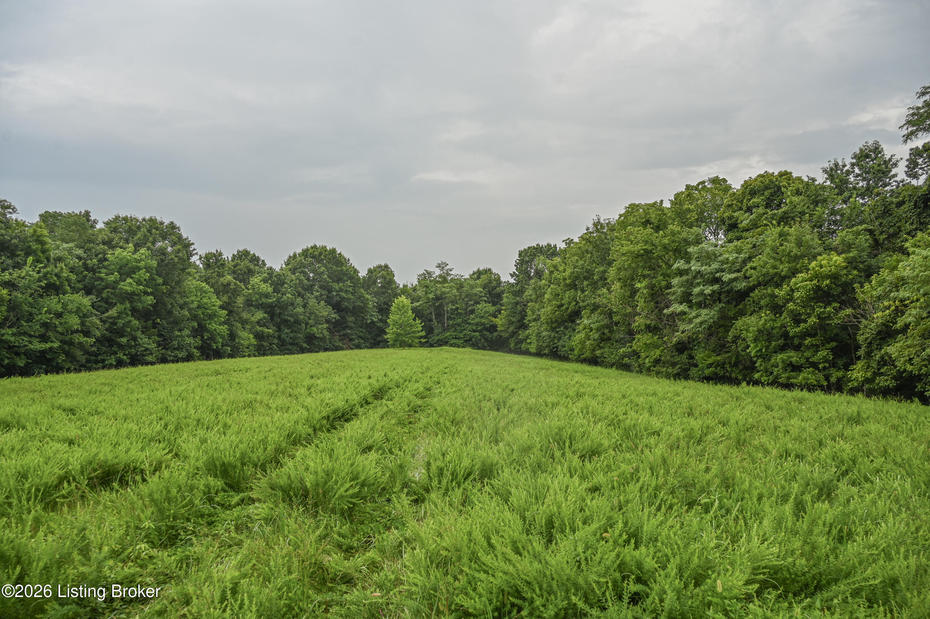 4555 Ky-433 Property Photo 30
