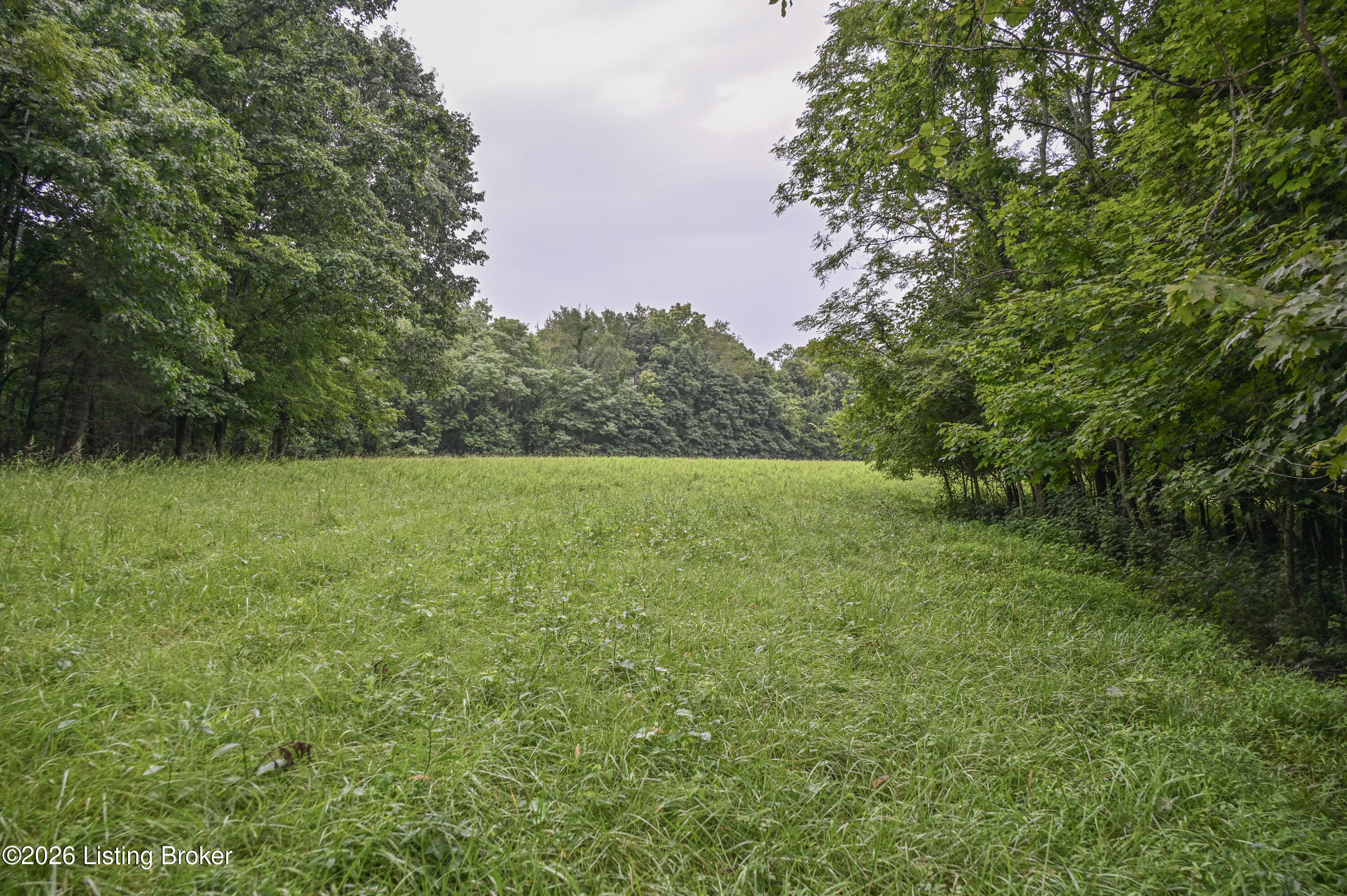 4555 Ky-433 Property Photo 32