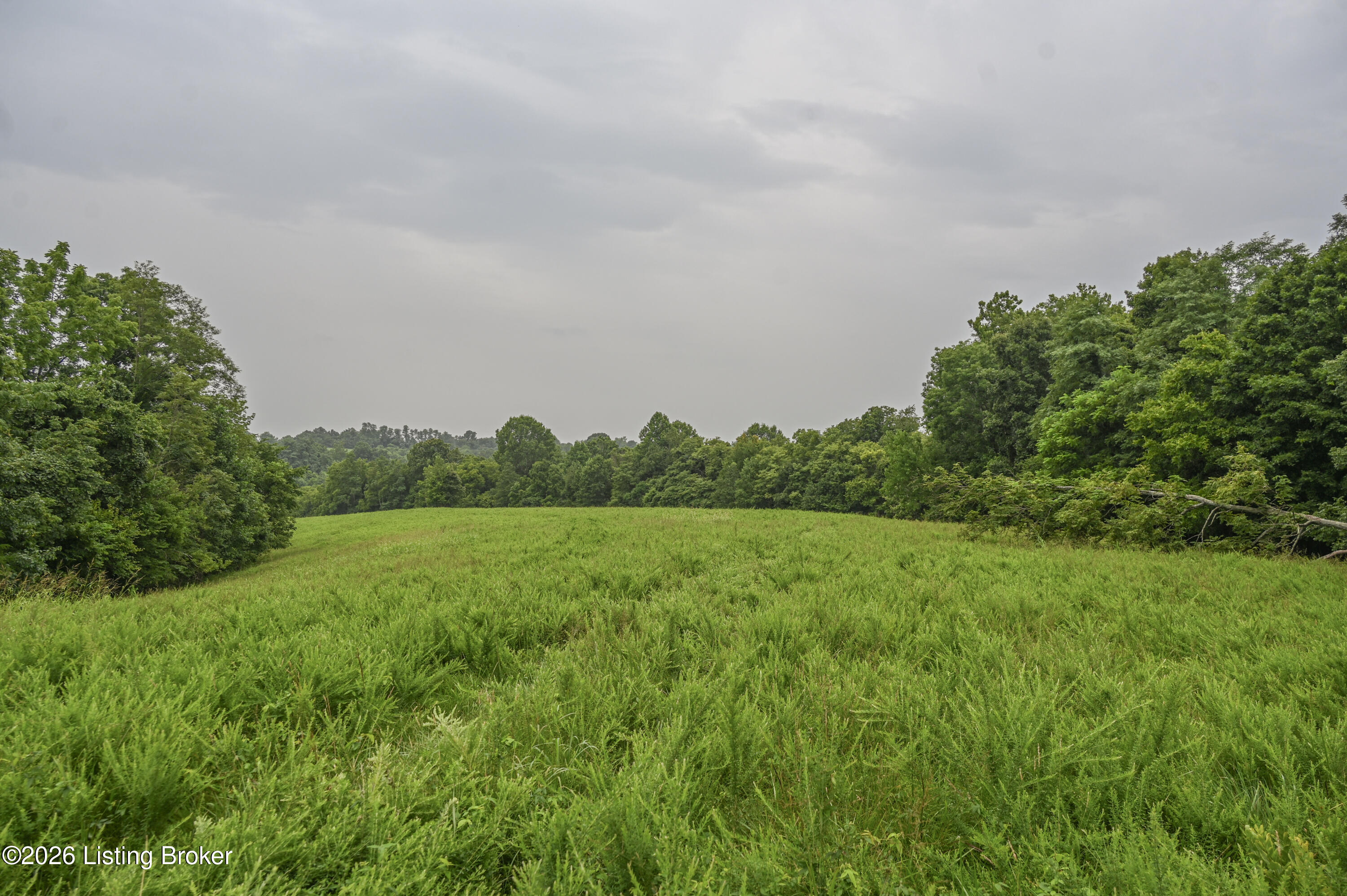 4555 Ky-433 Property Photo 34