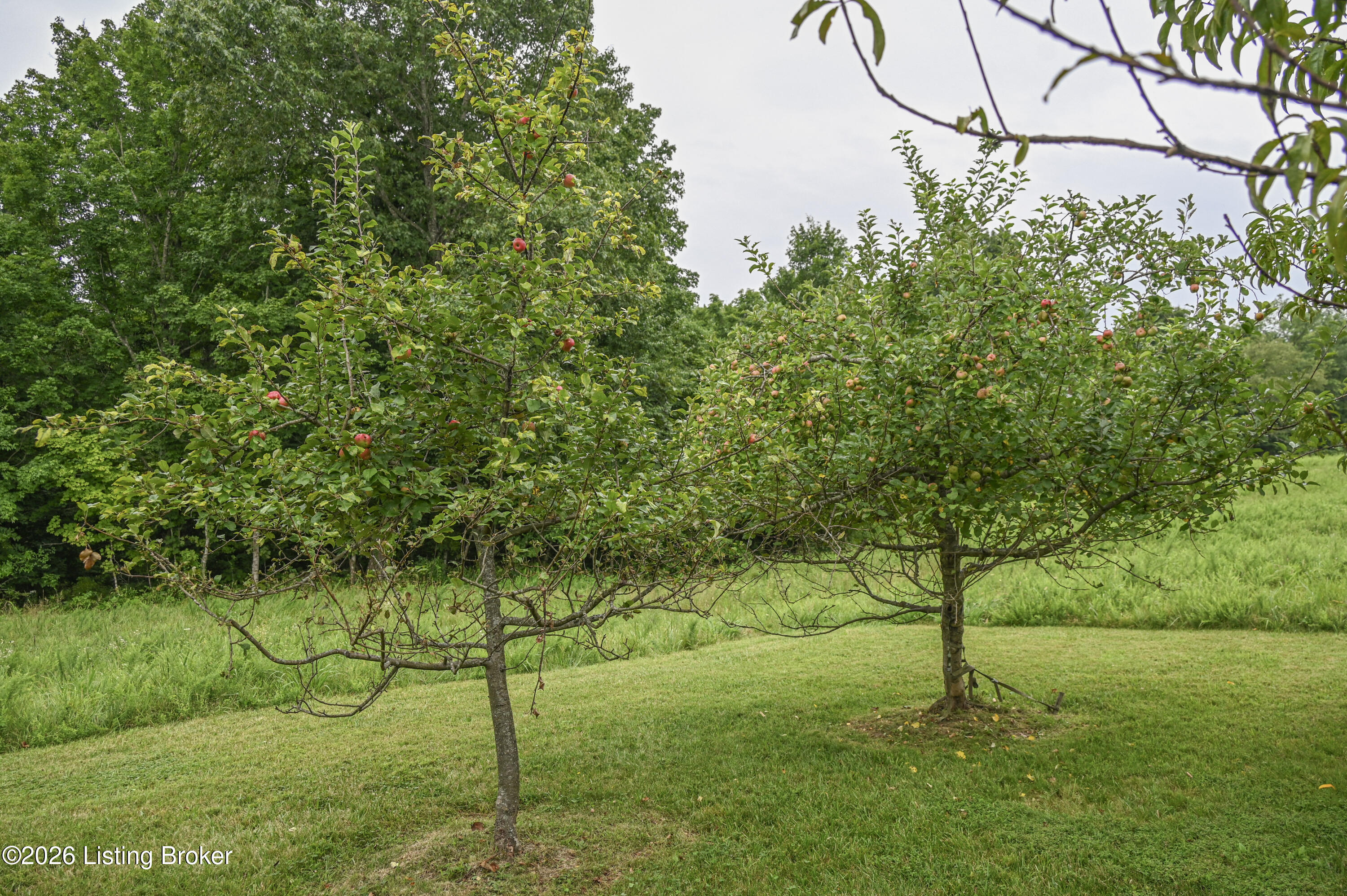 4555 Ky-433 Property Photo 42