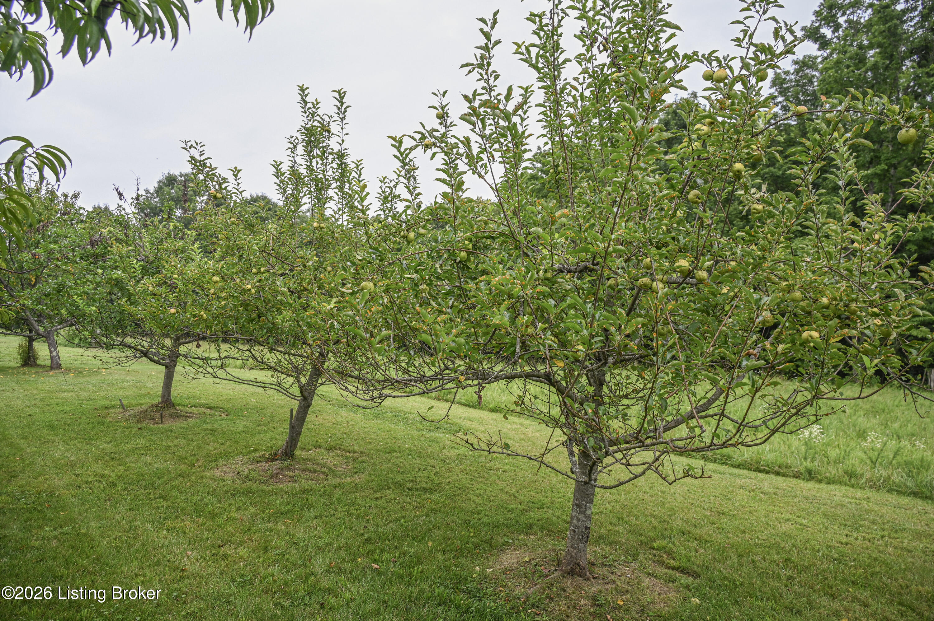 4555 Ky-433 Property Photo 43