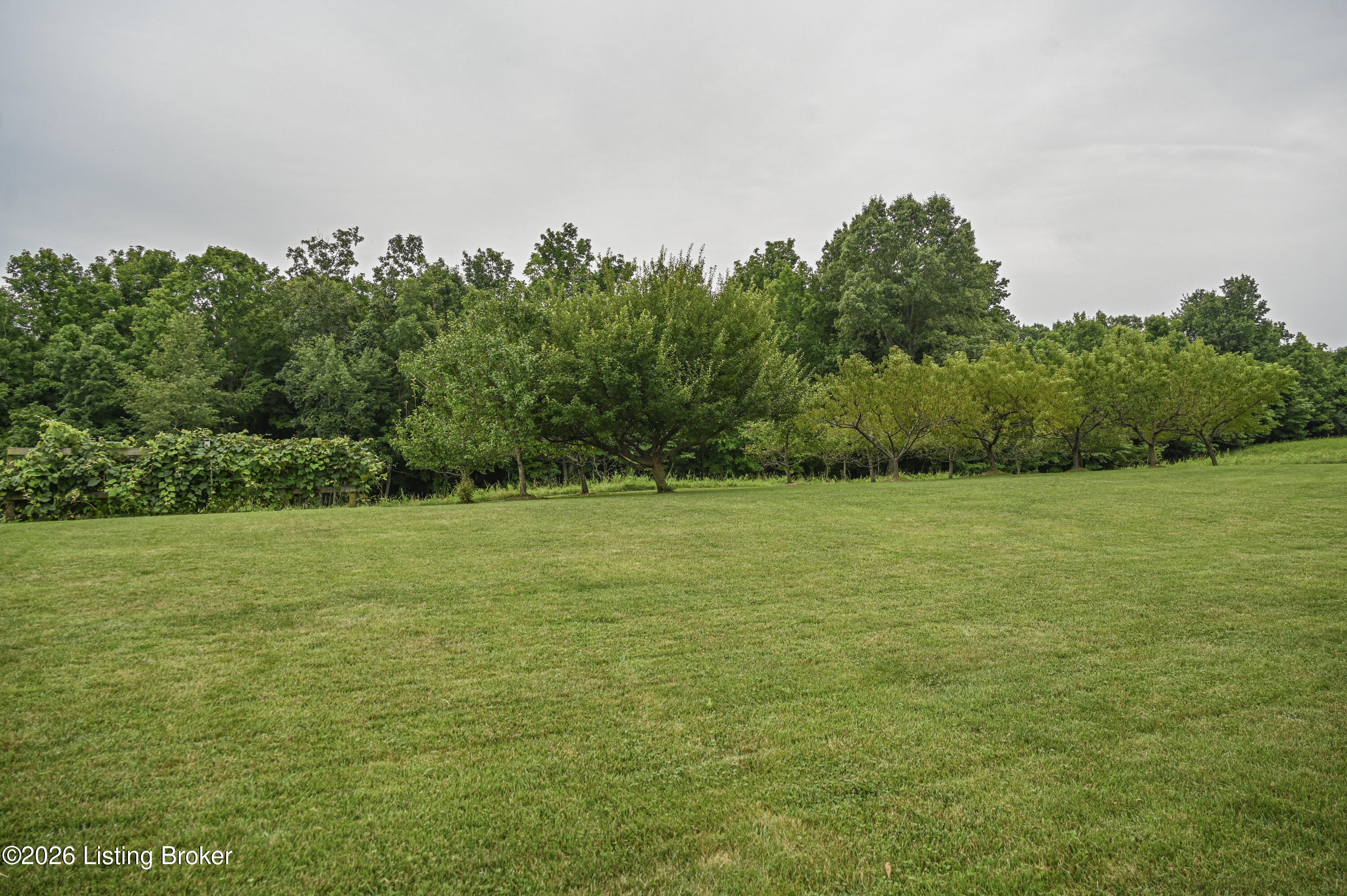 4555 Ky-433 Property Photo 79