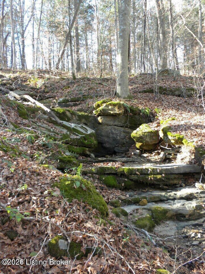 2409 Benleo Rd Property Photo 3