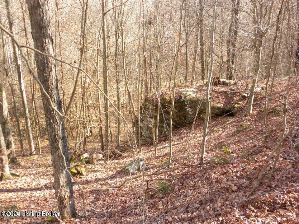 2409 Benleo Rd Property Photo 4