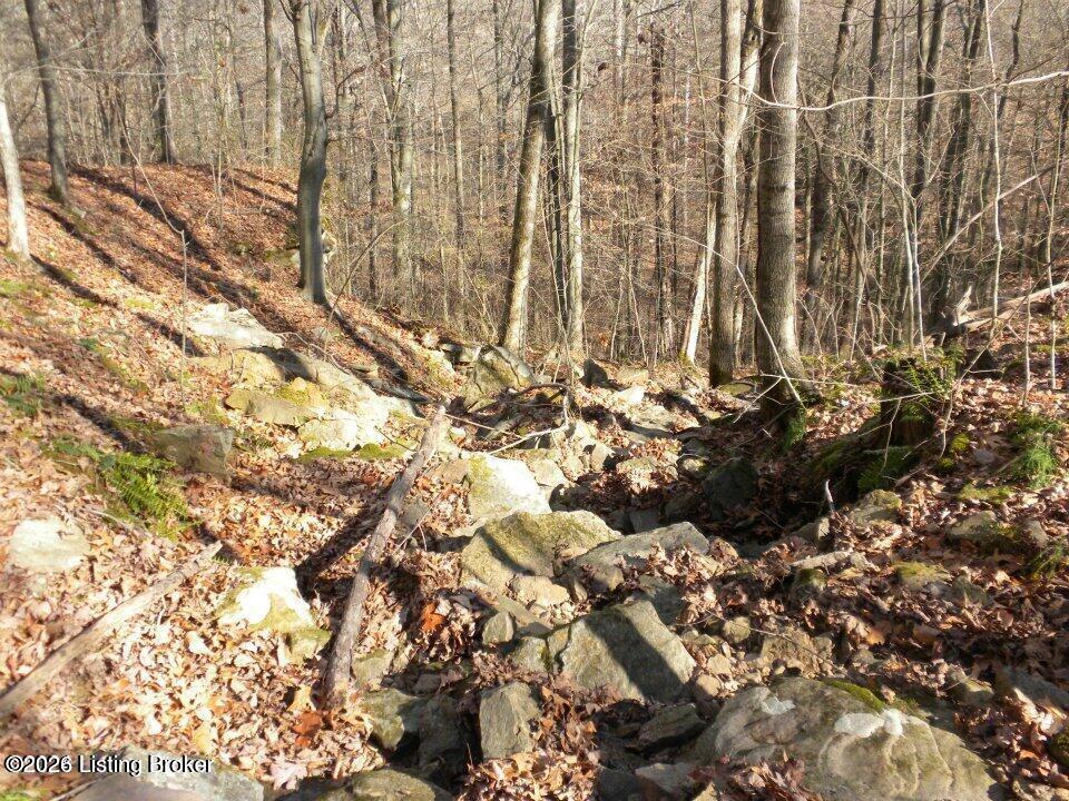 2409 Benleo Rd Property Photo 5