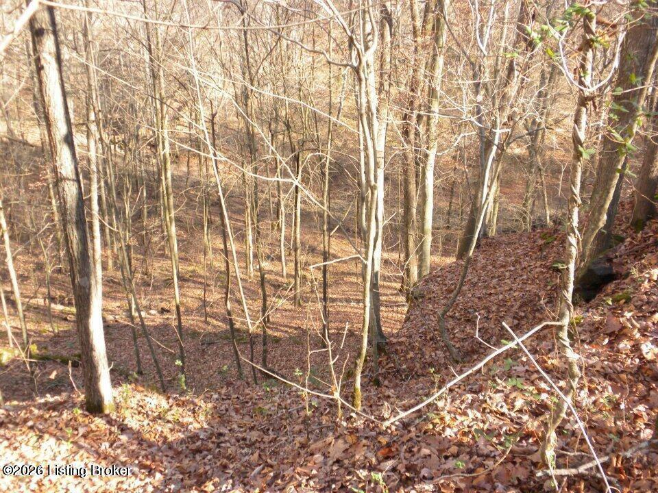 2409 Benleo Rd Property Photo 6