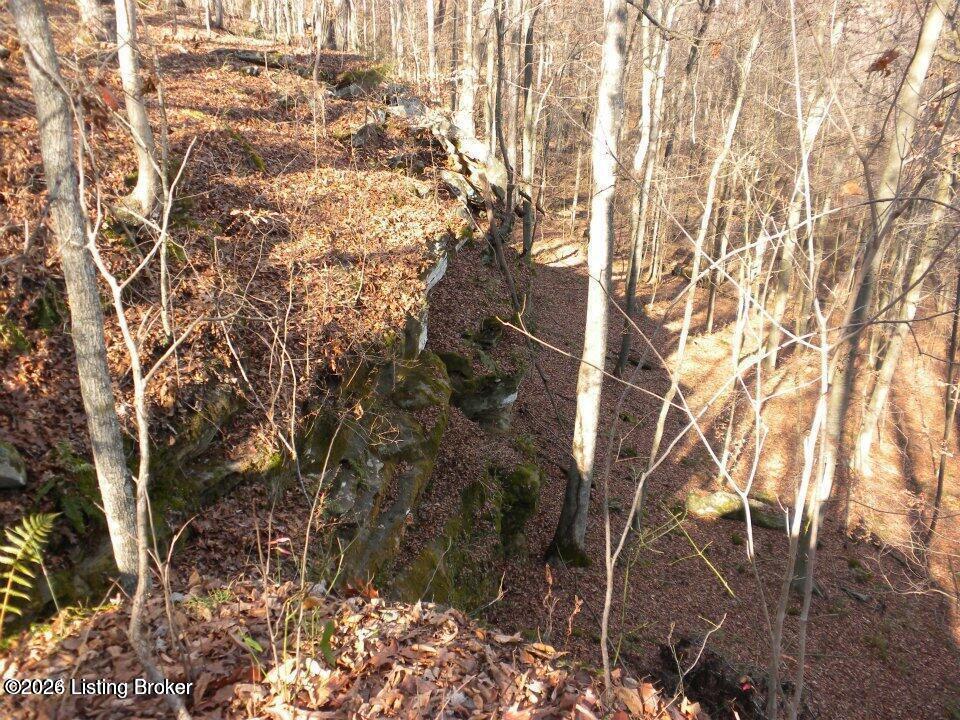 2409 Benleo Rd Property Photo 7