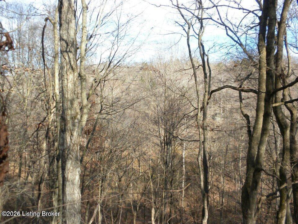 2409 Benleo Rd Property Photo 13