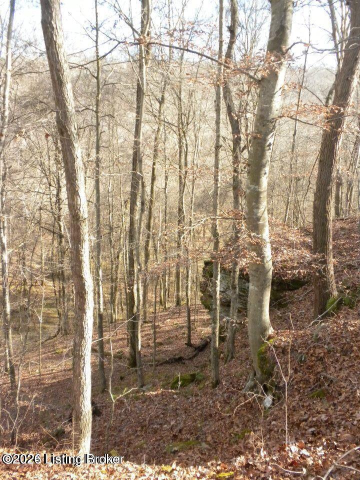 2409 Benleo Rd Property Photo 14