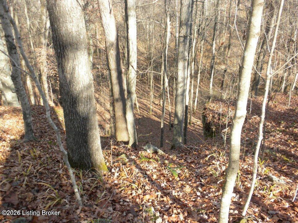 2409 Benleo Rd Property Photo 15