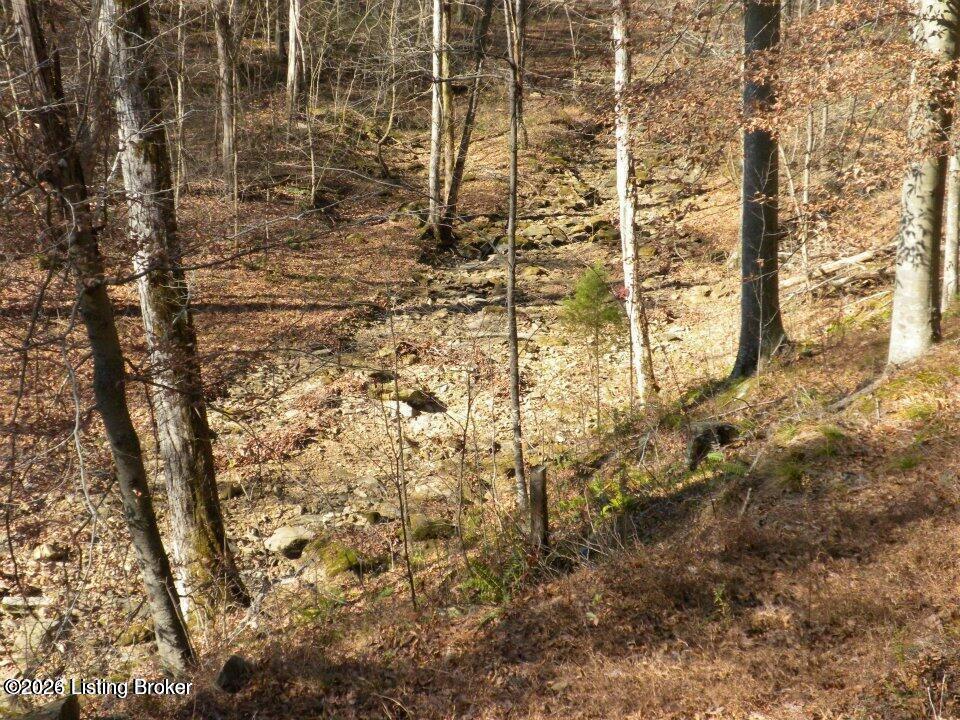 2409 Benleo Rd Property Photo 16