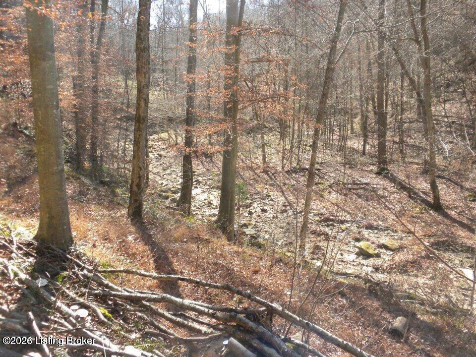 2409 Benleo Rd Property Photo 17