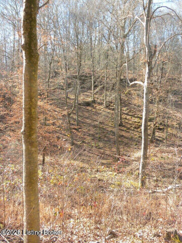 2409 Benleo Rd Property Photo 18