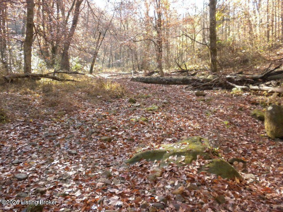2409 Benleo Rd Property Photo 19