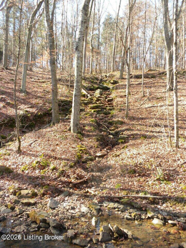 2409 Benleo Rd Property Photo 20
