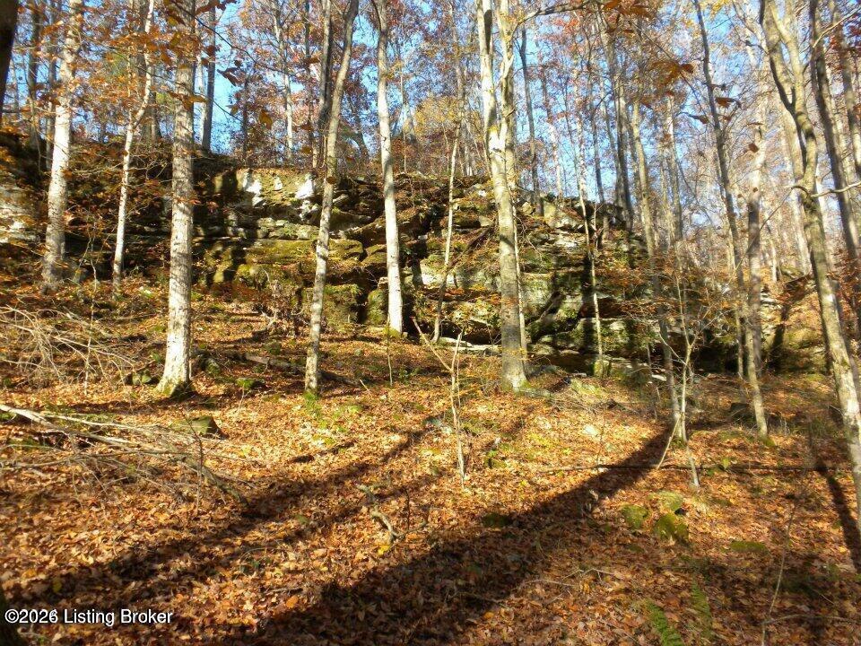 2409 Benleo Rd Property Photo 21