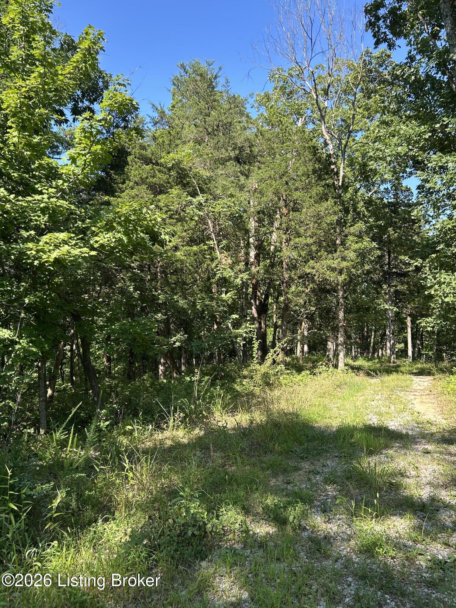 1340 Zen Forest Rd Property Photo 28