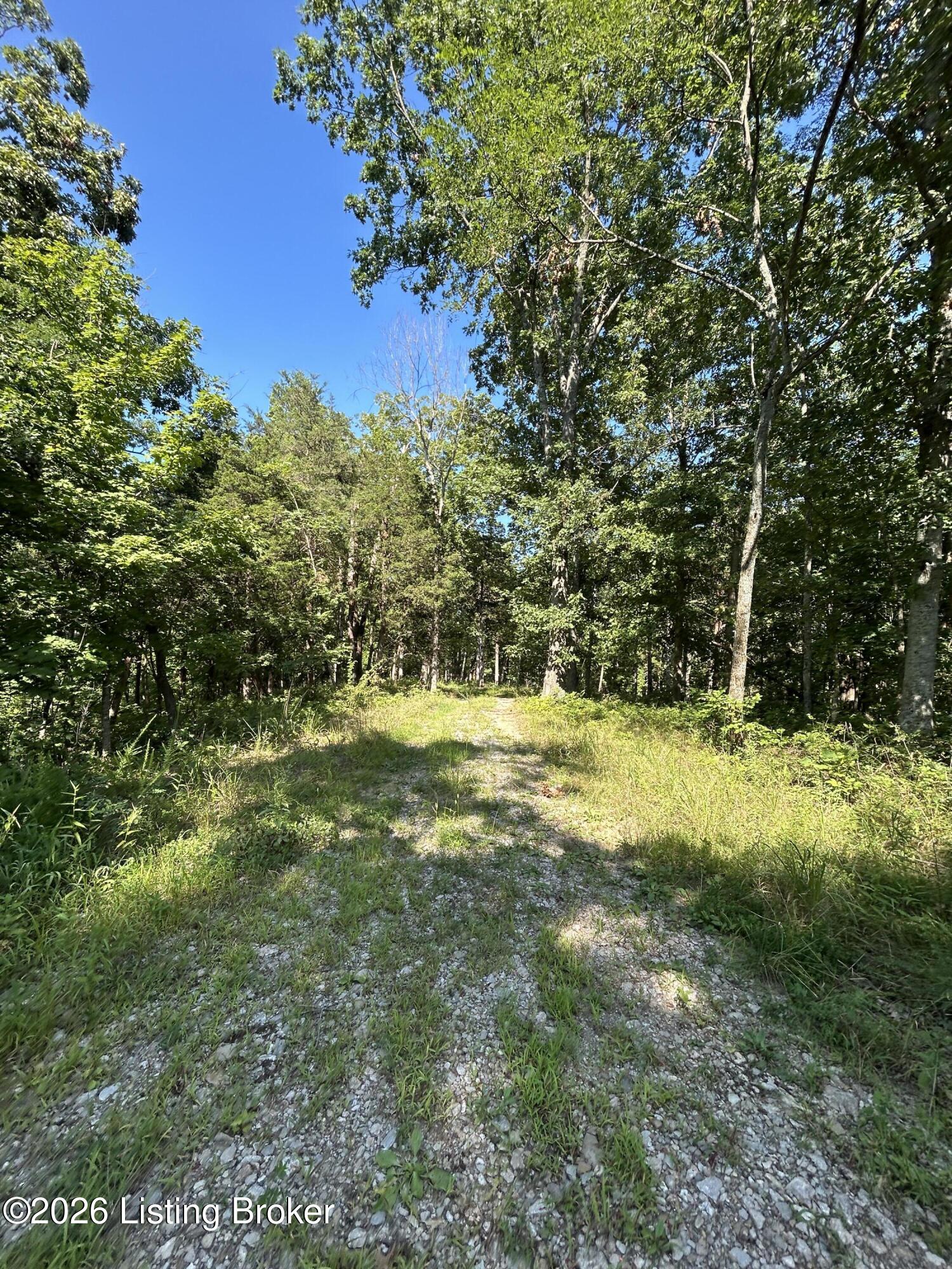 1340 Zen Forest Rd Property Photo 31