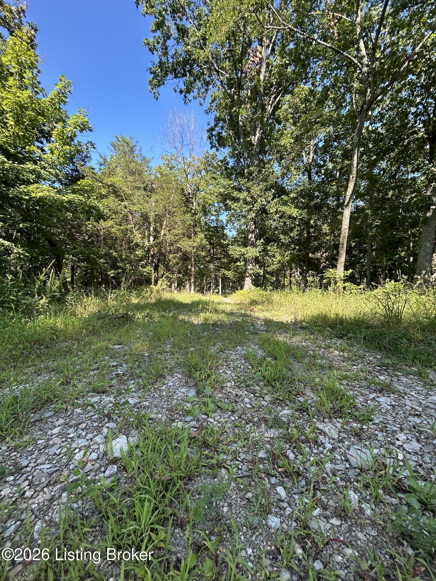 1340 Zen Forest Rd Property Photo 32