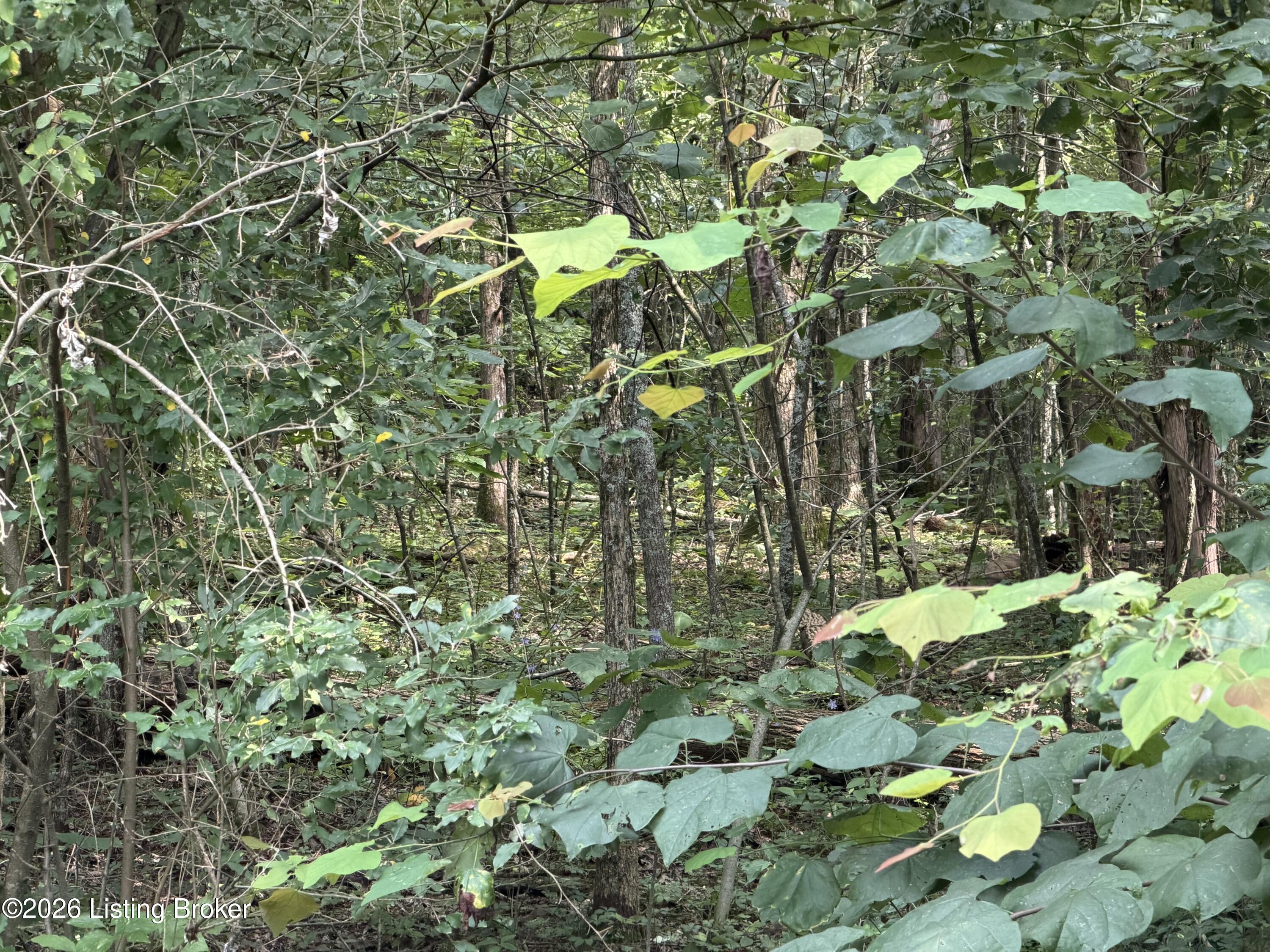 680 Hough Run Rd Property Photo 62