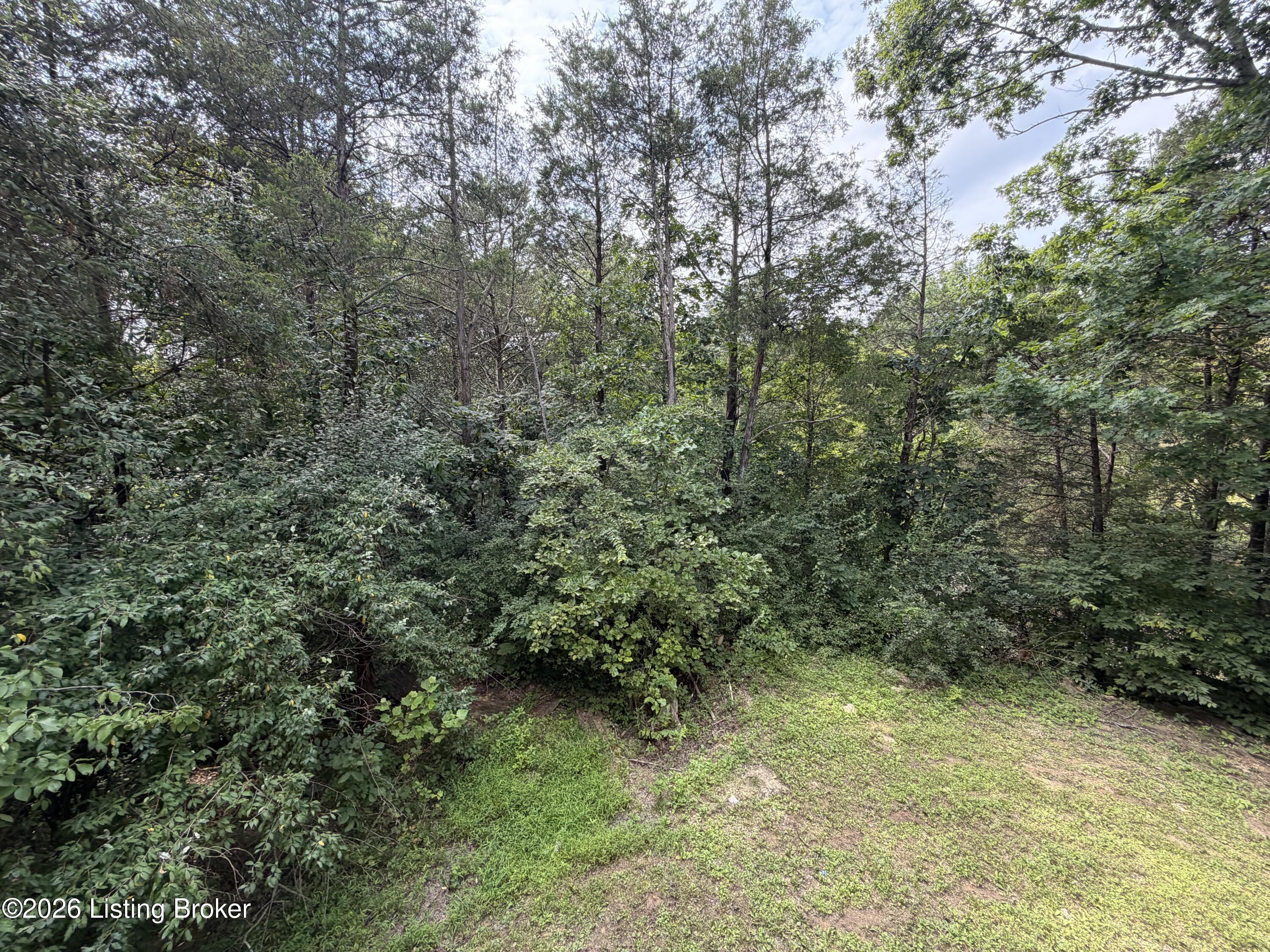 680 Hough Run Rd Property Photo 66