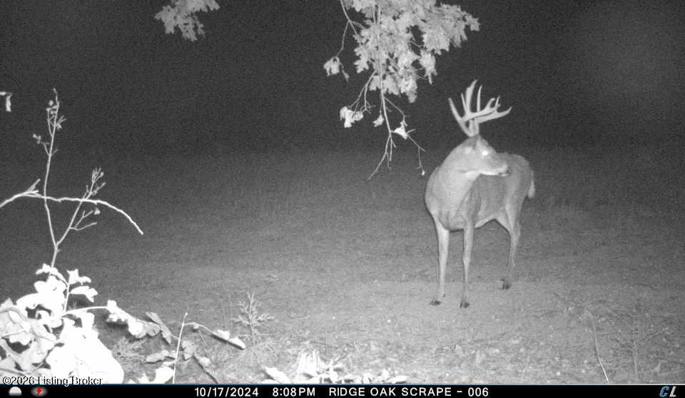 145 Dowell Hardin Mills Rd Property Photo 54