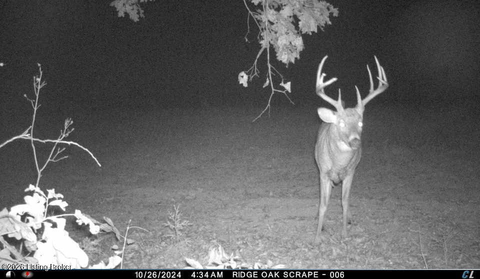145 Dowell Hardin Mills Rd Property Photo 57
