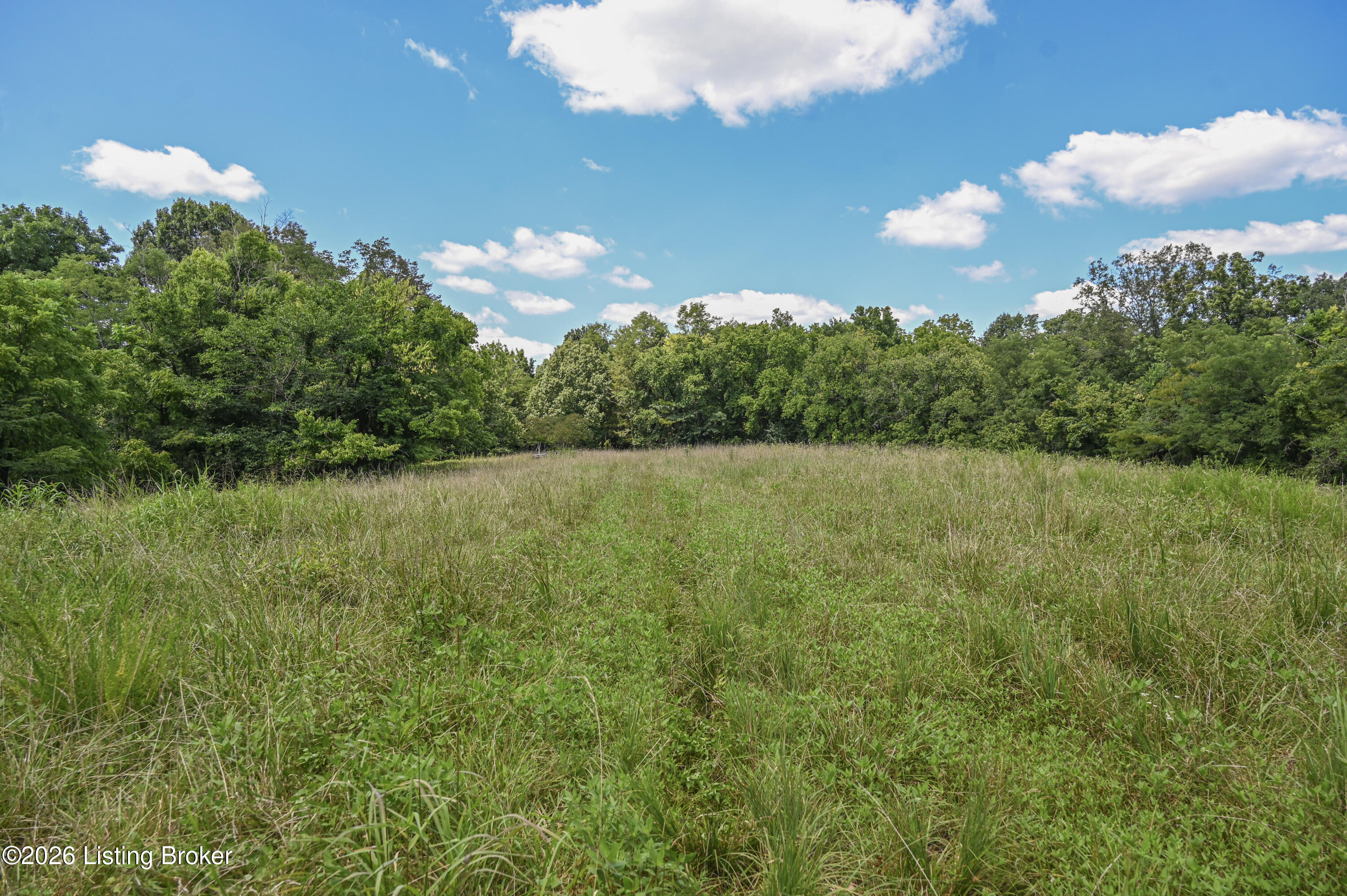 12350 Ky-555 Property Photo 4