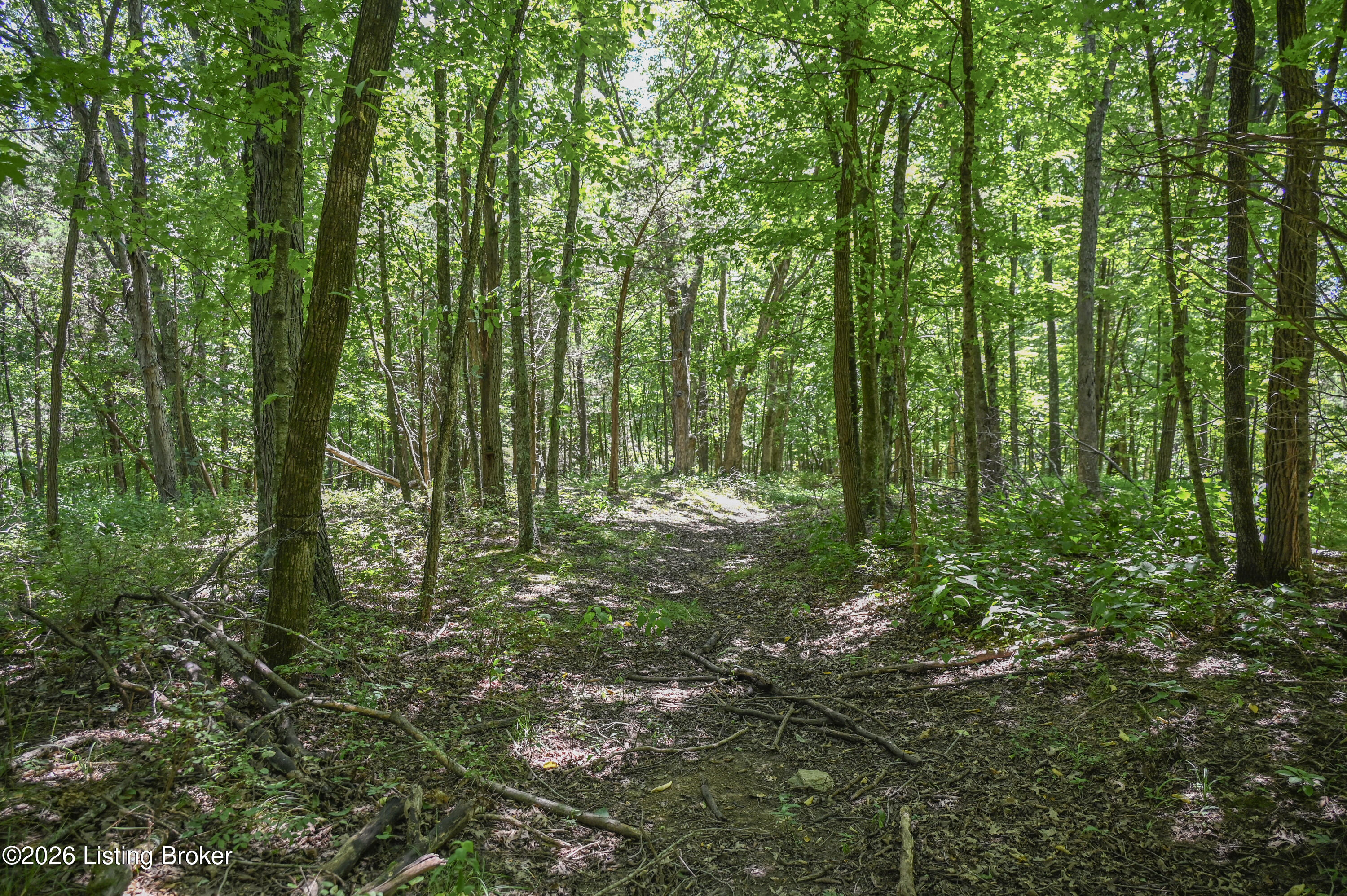 12350 Ky-555 Property Photo 6