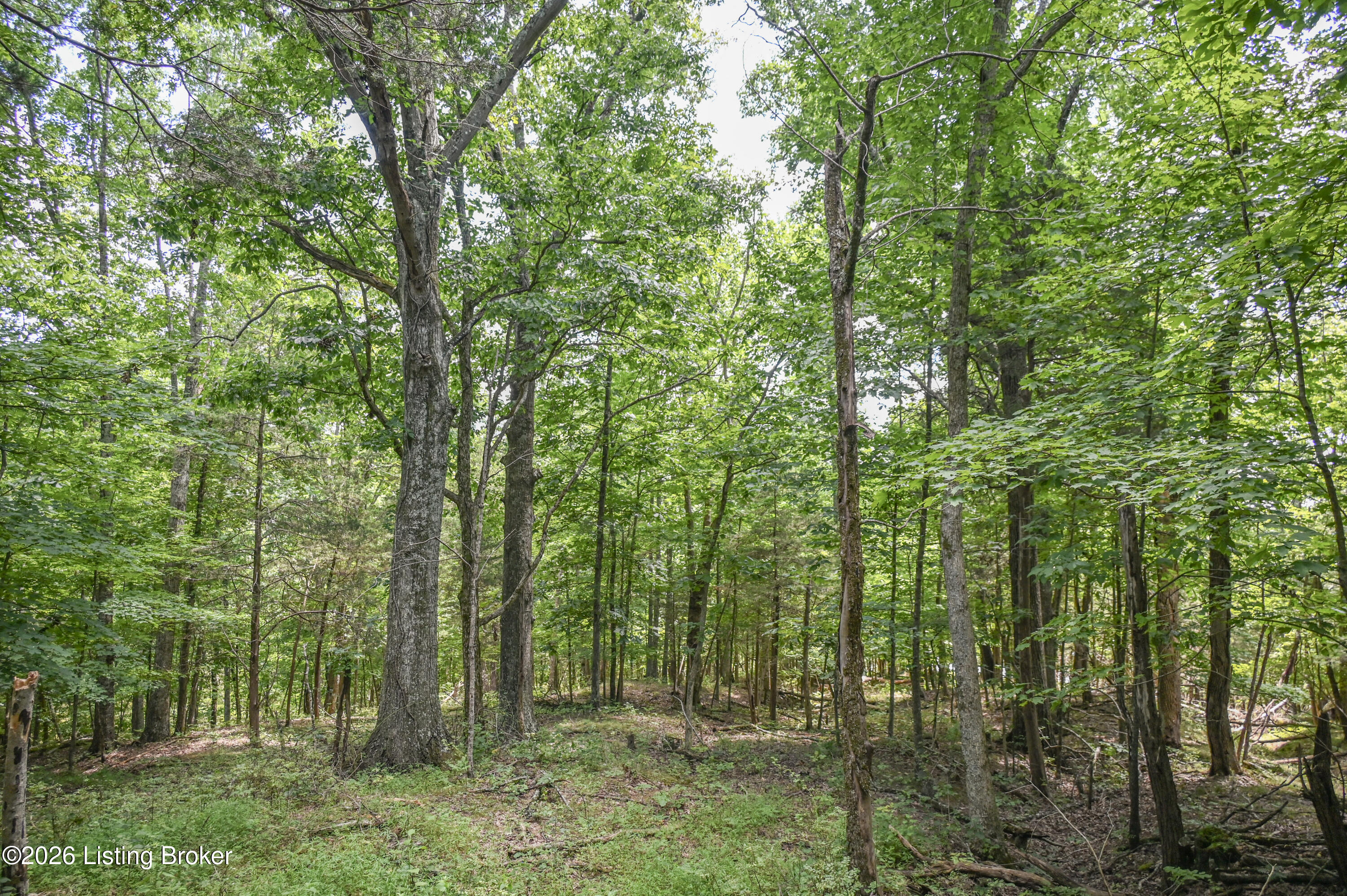 12350 Ky-555 Property Photo 10