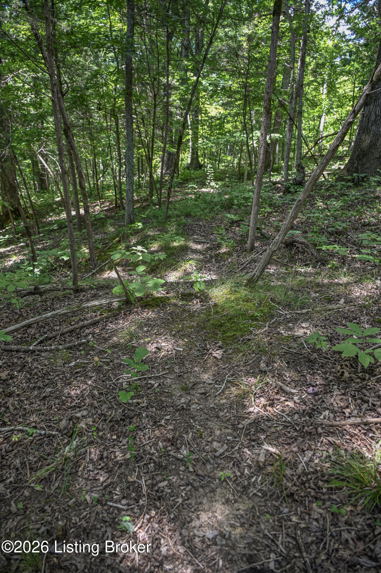 12350 Ky-555 Property Photo 13