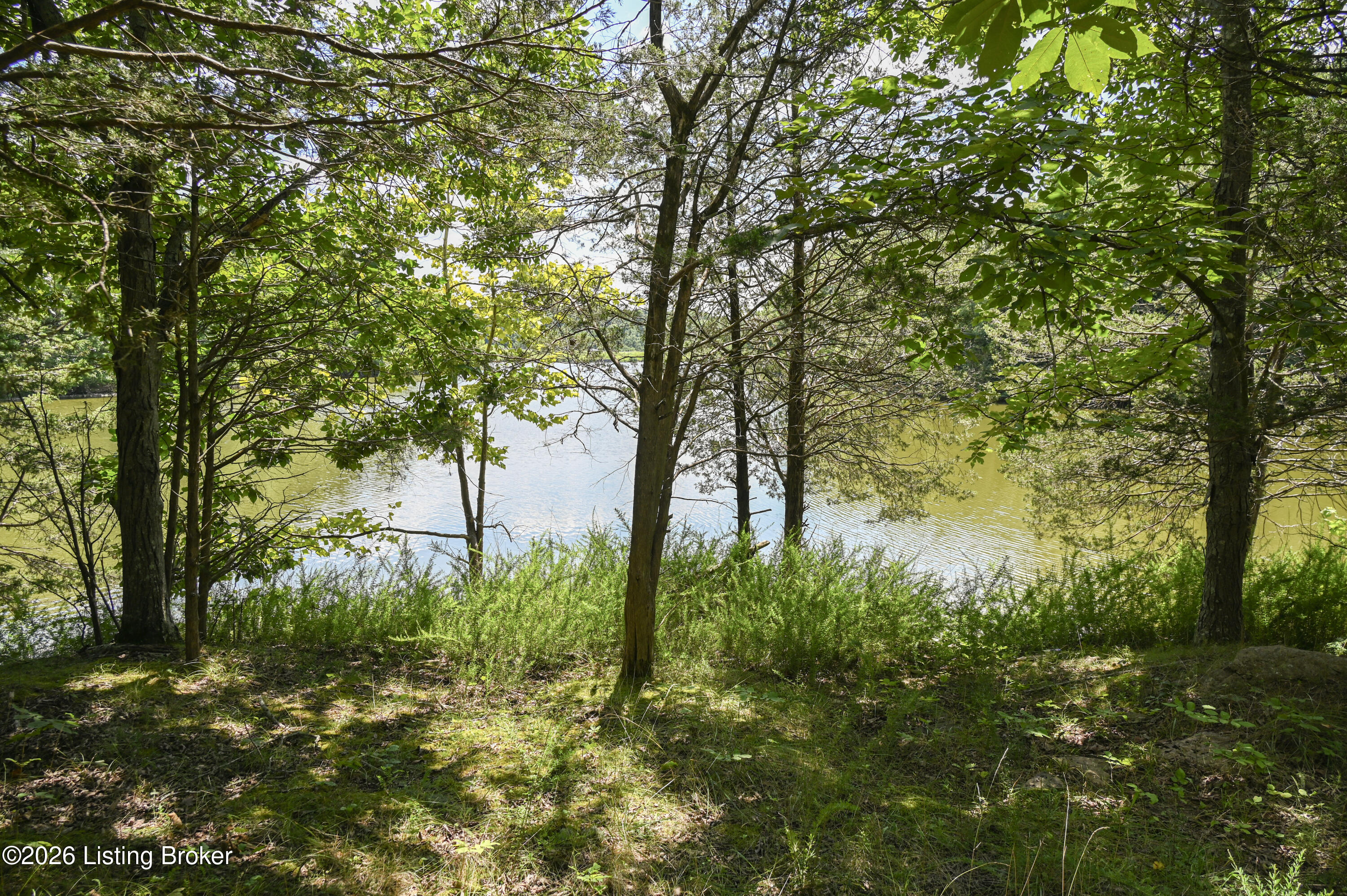 12350 Ky-555 Property Photo 15