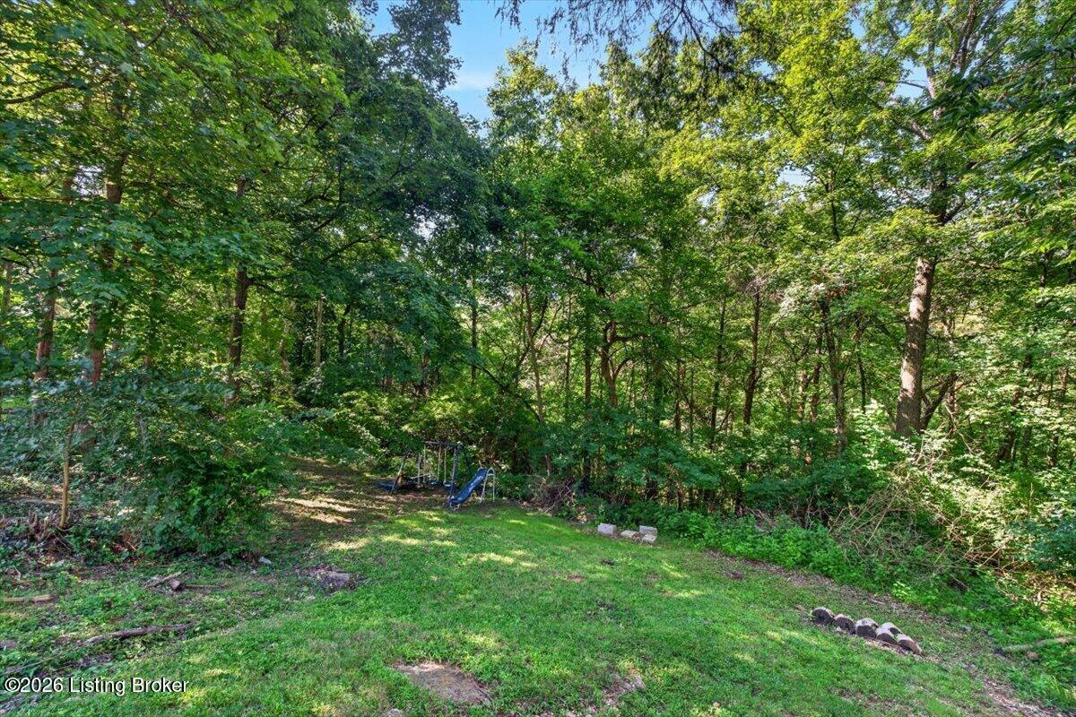 10418 Glenmary Farm Dr Property Photo 49