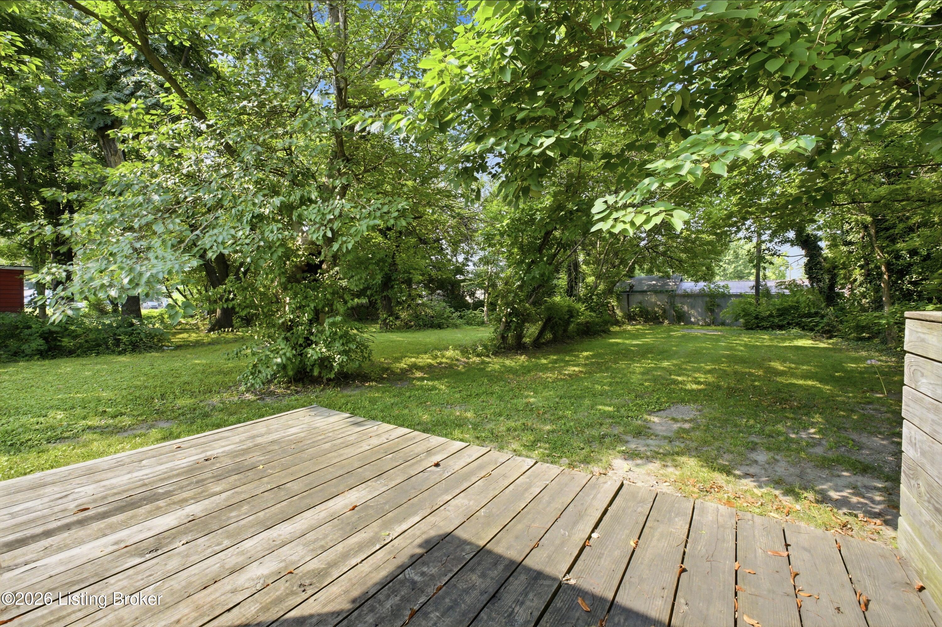 1037 Watt St Property Photo 30