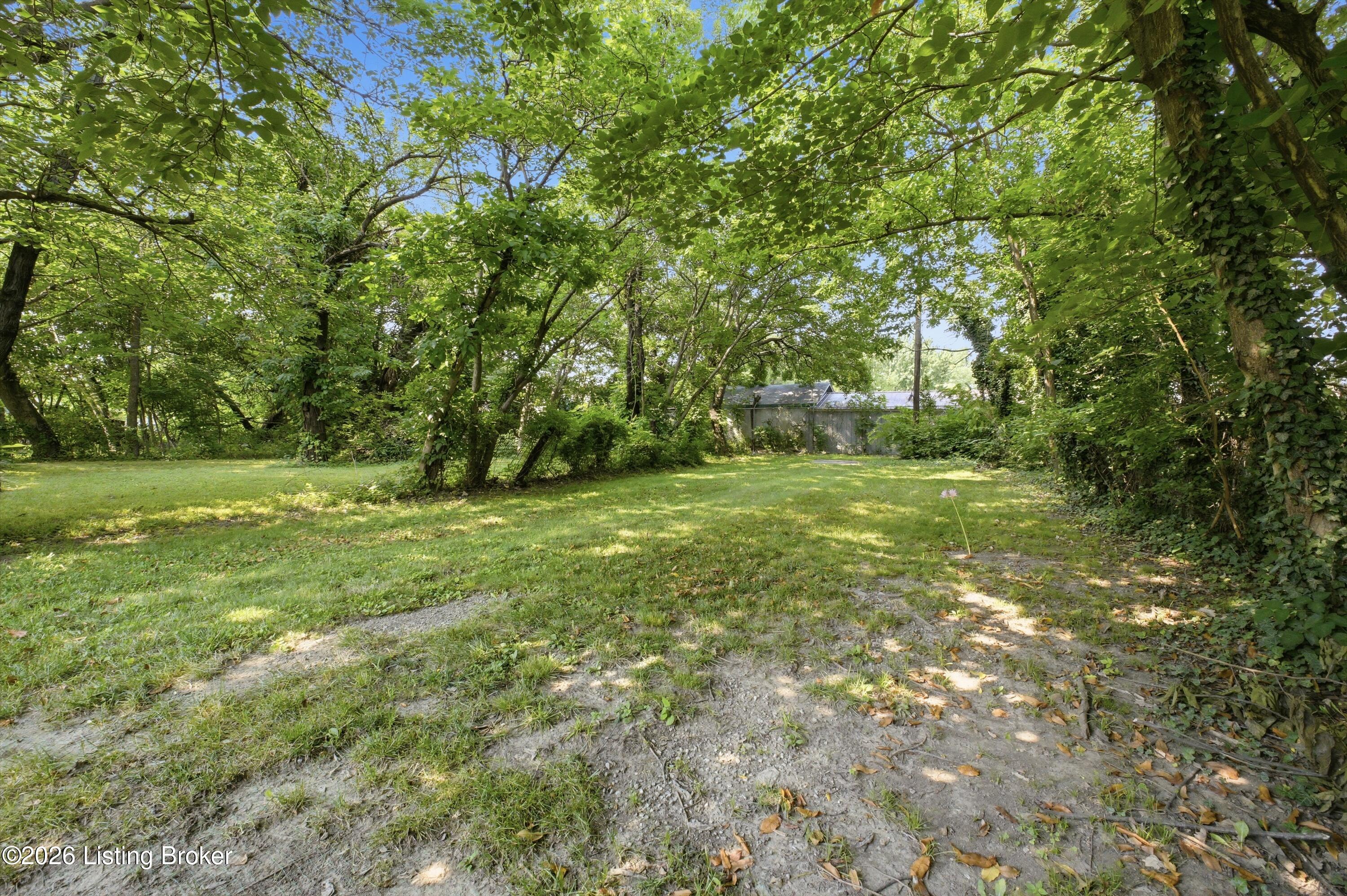 1037 Watt St Property Photo 31