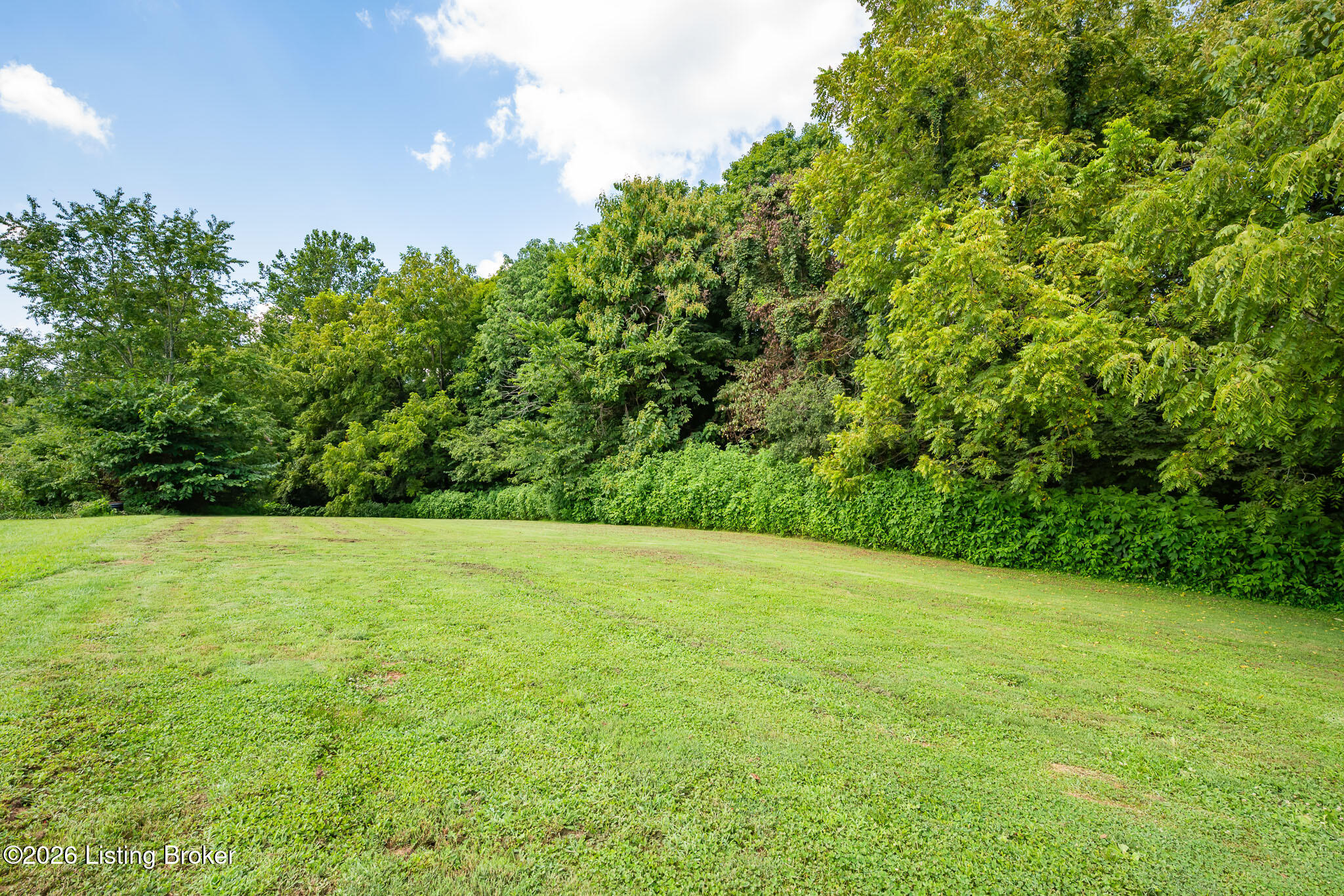 401 Old Mammoth Cave Rd Property Photo 43