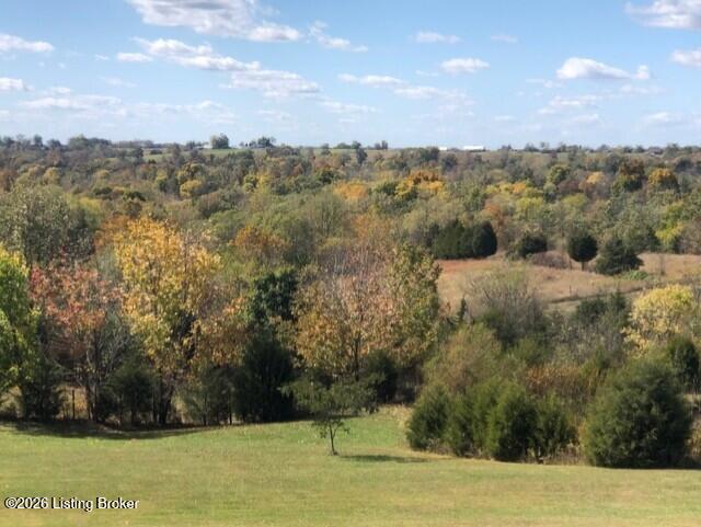 707 Sulphur Bedford Rd Property Photo 55
