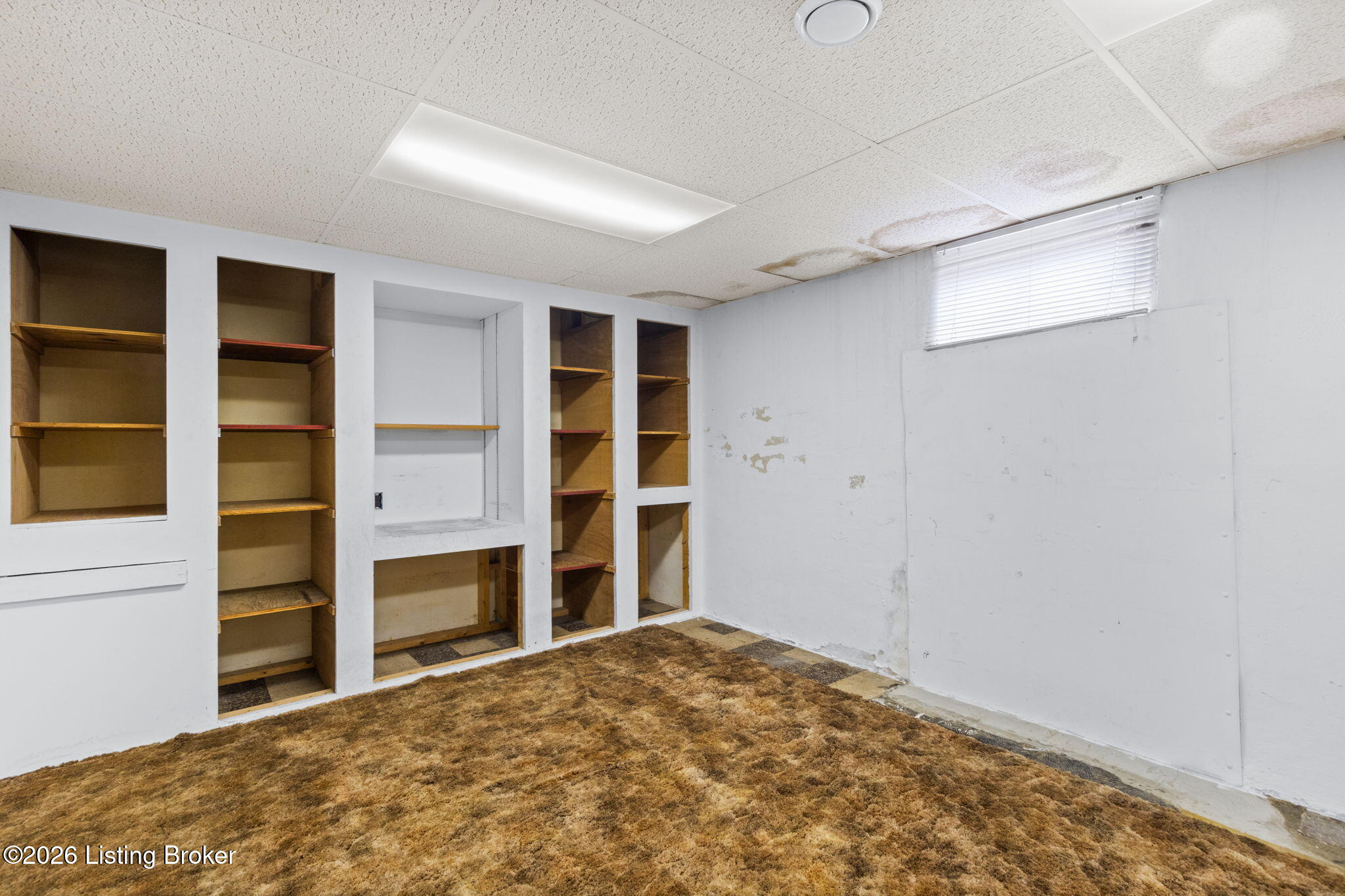 3602 Nellie Bly Dr Property Photo 39
