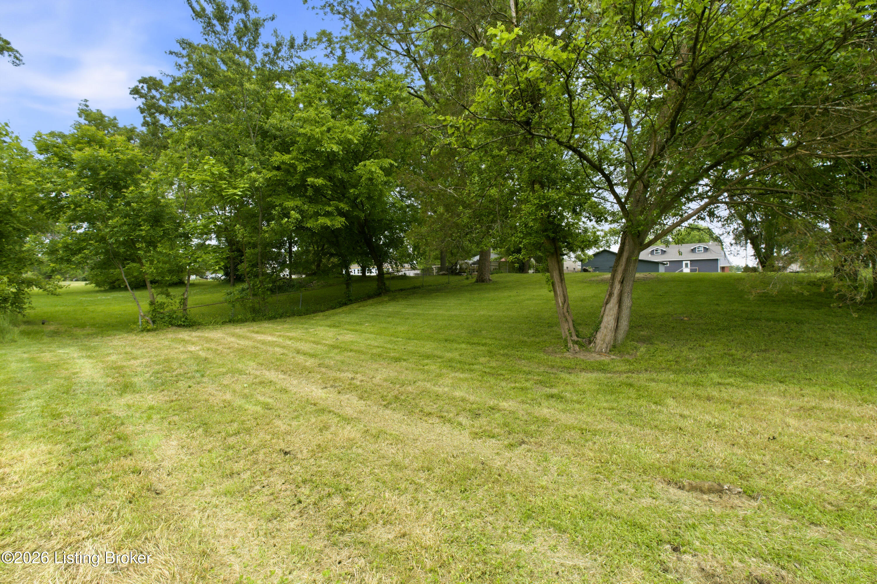 203 Abbott St Property Photo 50