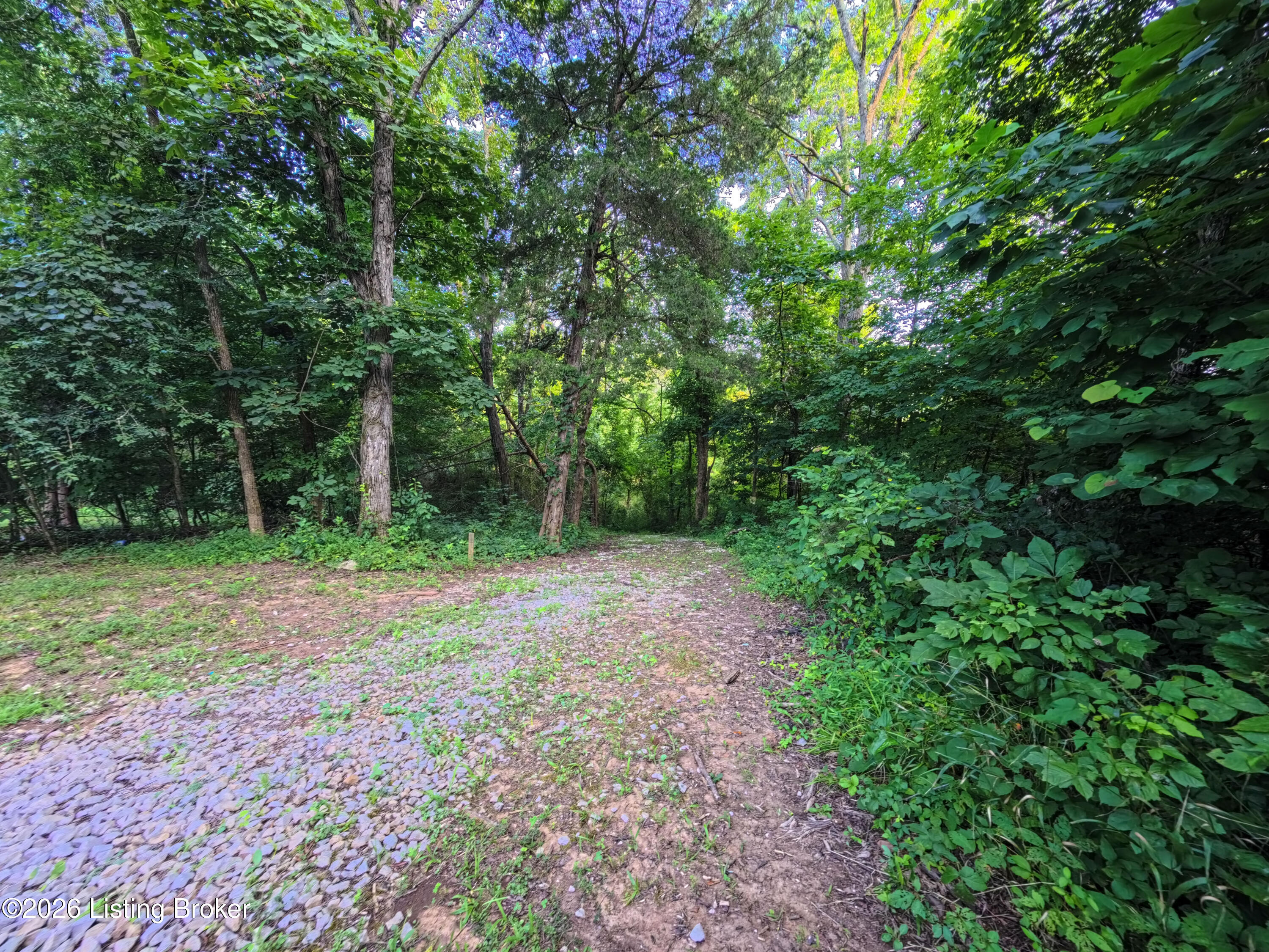 899 Pine Haven Rd Property Photo 11